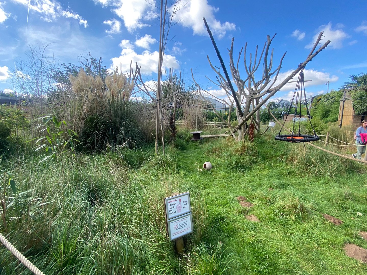 Ring-tailed Lemur walkthrough 140923