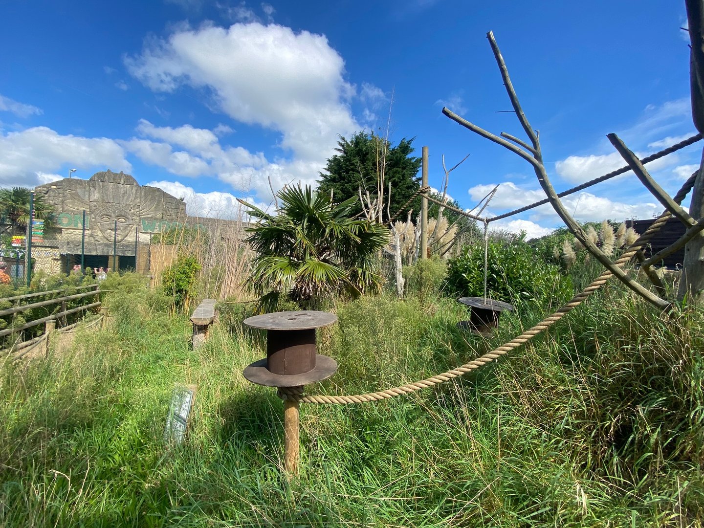 Ring-tailed Lemur walkthrough 140923