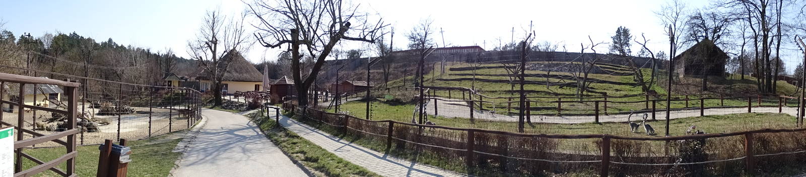 Ring-tailed lemur walkthrough and deer enclosure