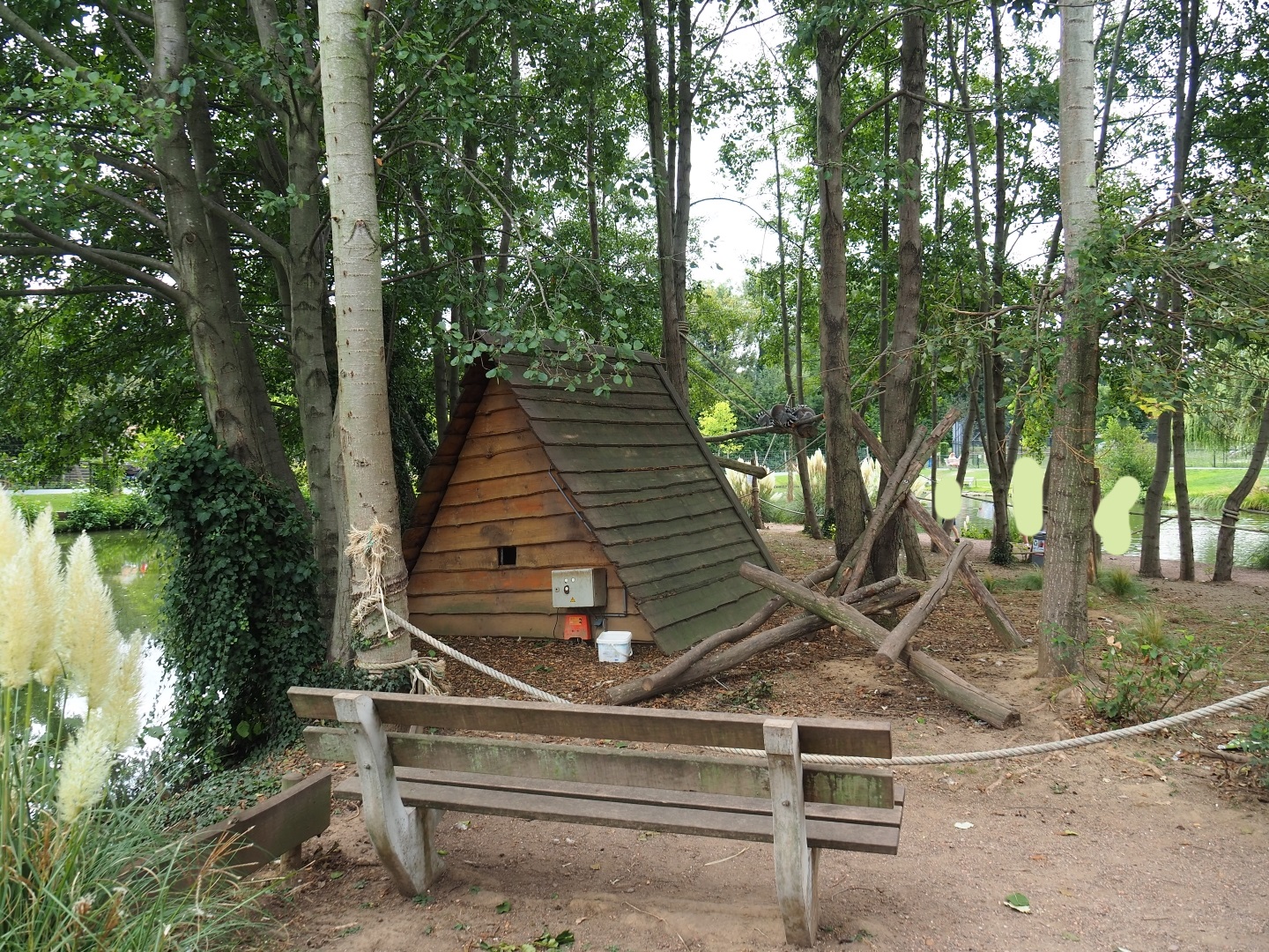 Ring-tailed lemur walkthrough exhibit (Aug 28th, 2018)