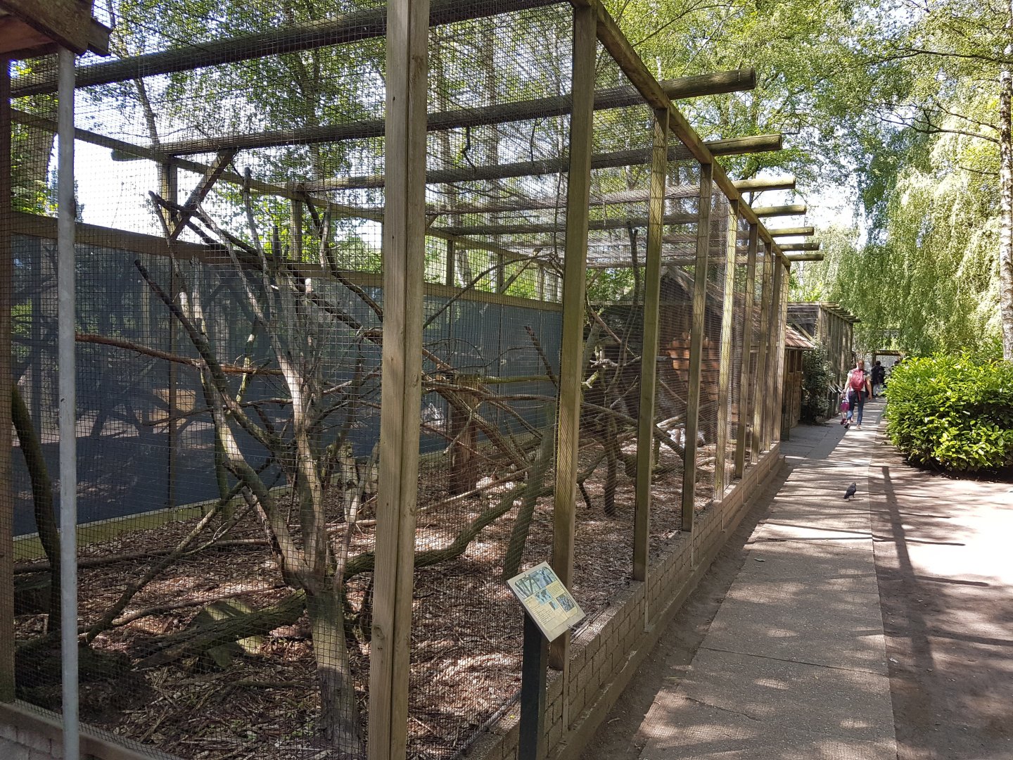 Ring-tailed lemure-enclosure