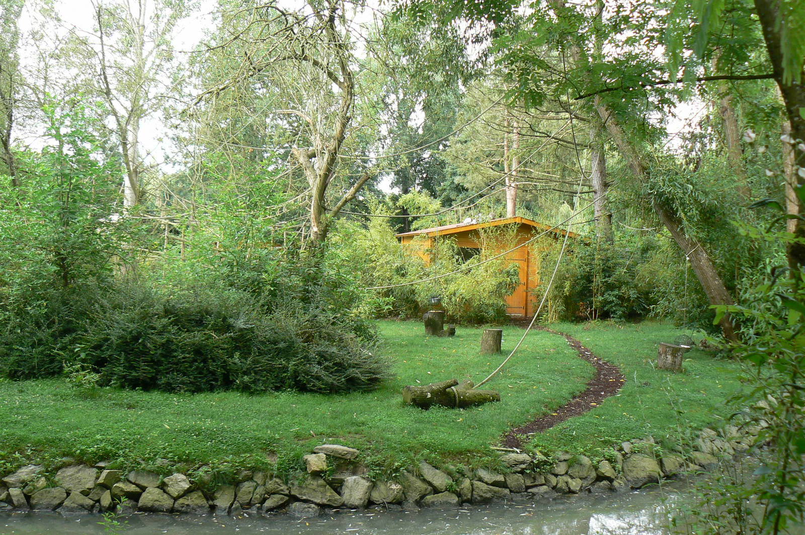 Ring-tailed lemurs and black and white ruffed lemurs island