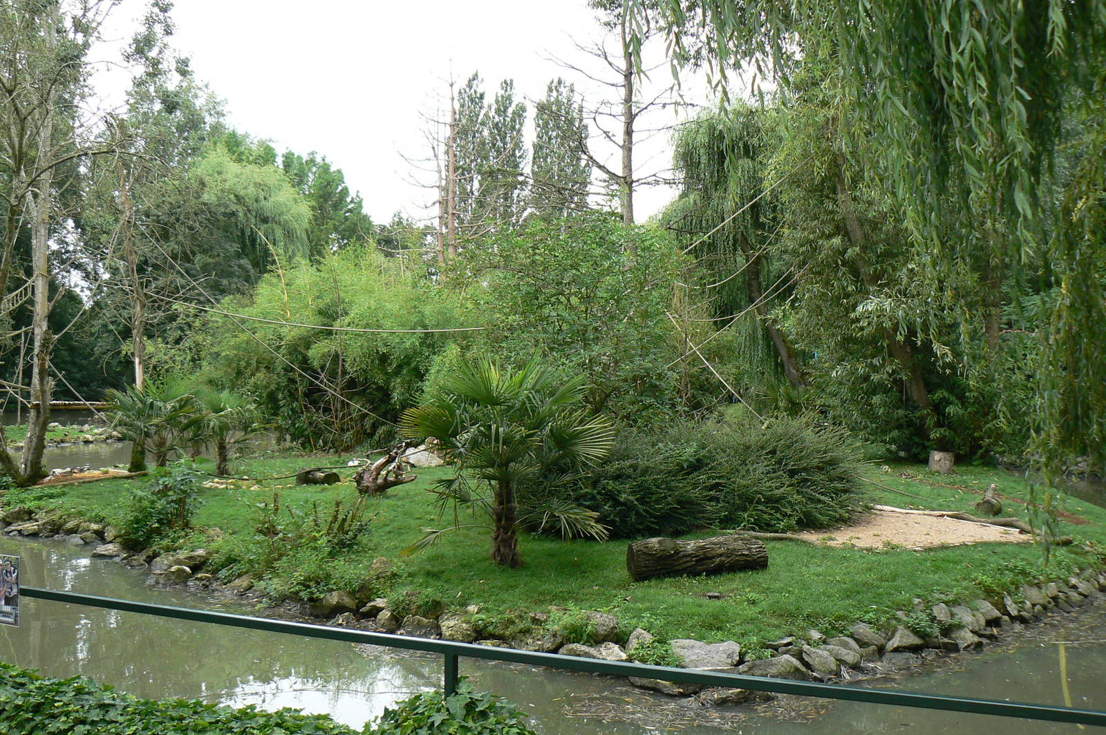 Ring-tailed lemurs and black and white ruffed lemurs island