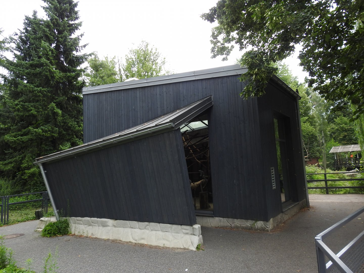 Ring-tailed lemurs house