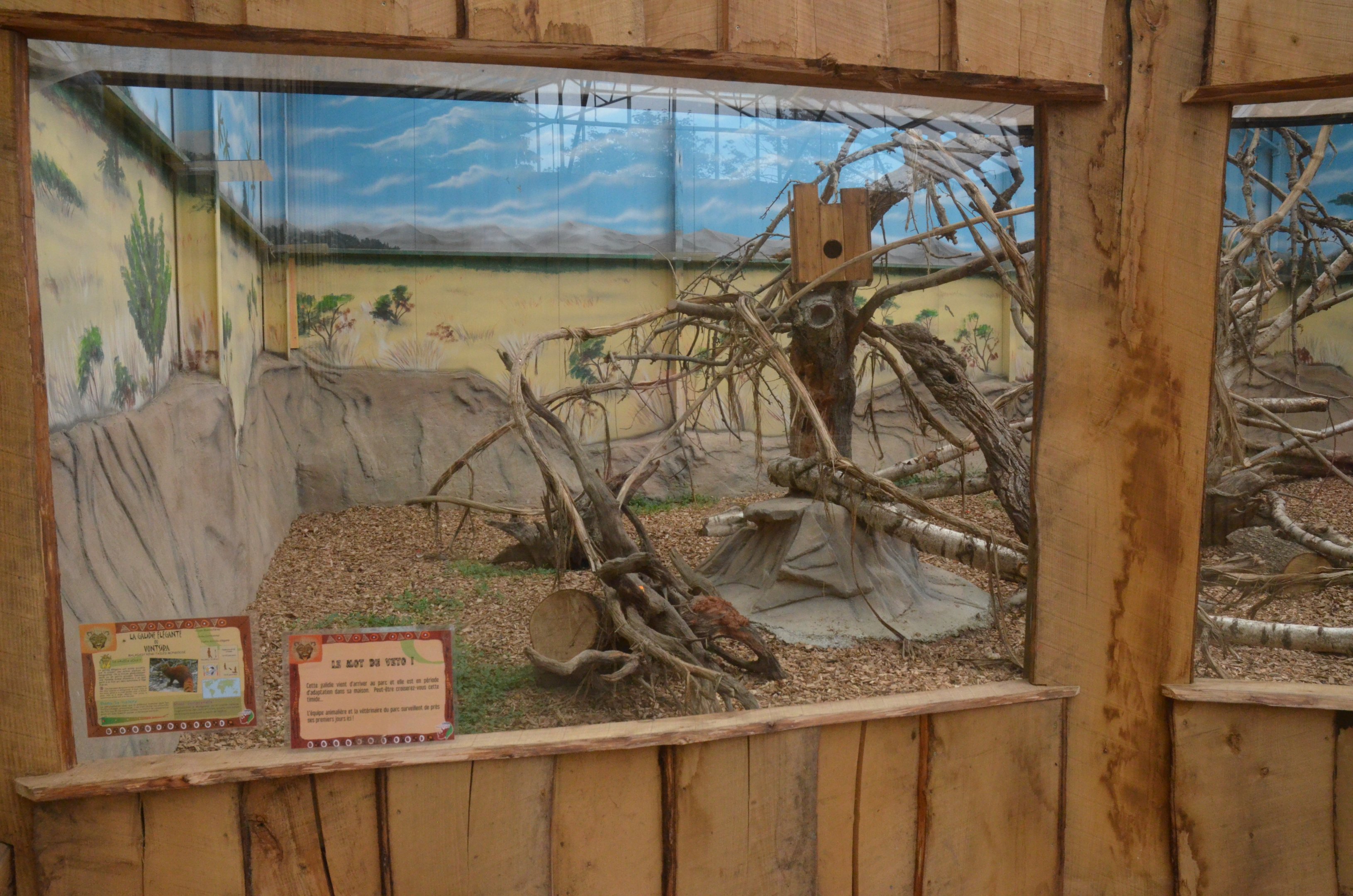 Ring-tailed Mongoose/Vontsira Enclosure at CERZA, 10/06/18