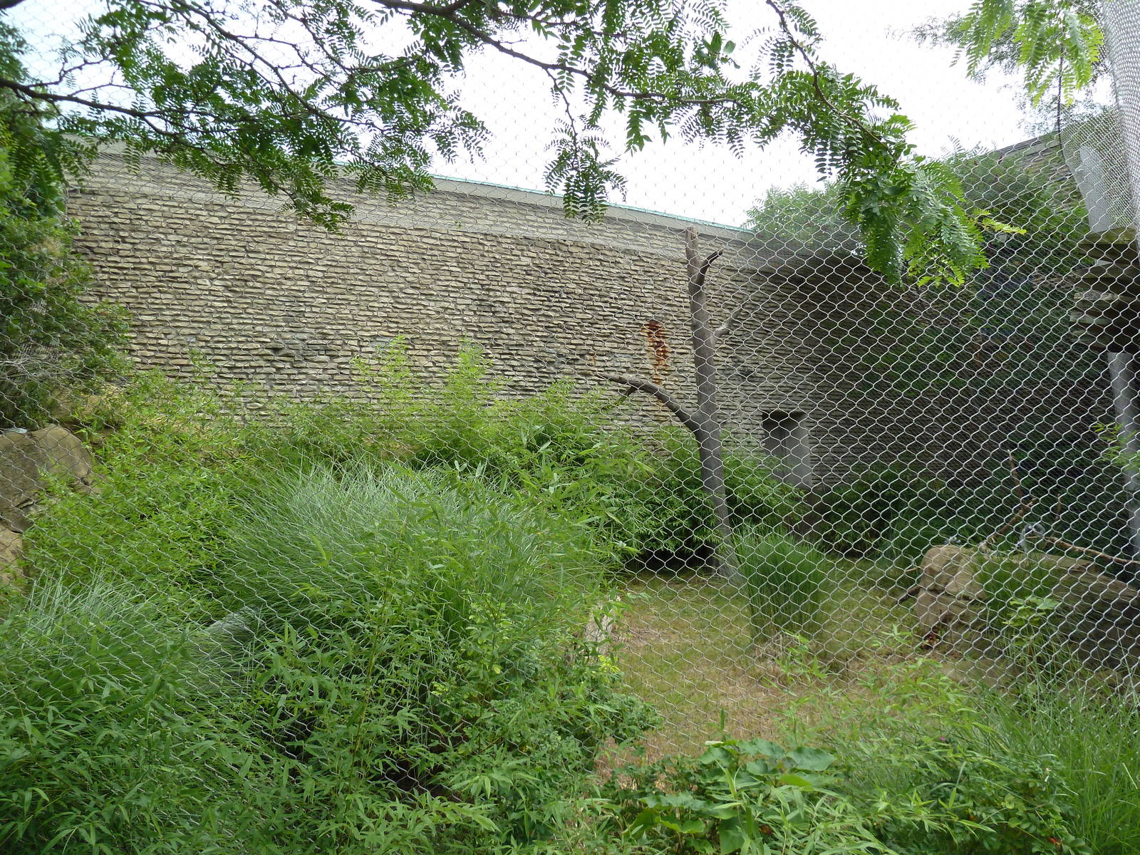 Ring-Tailed/Red Ruffed Lemur Exhibit
