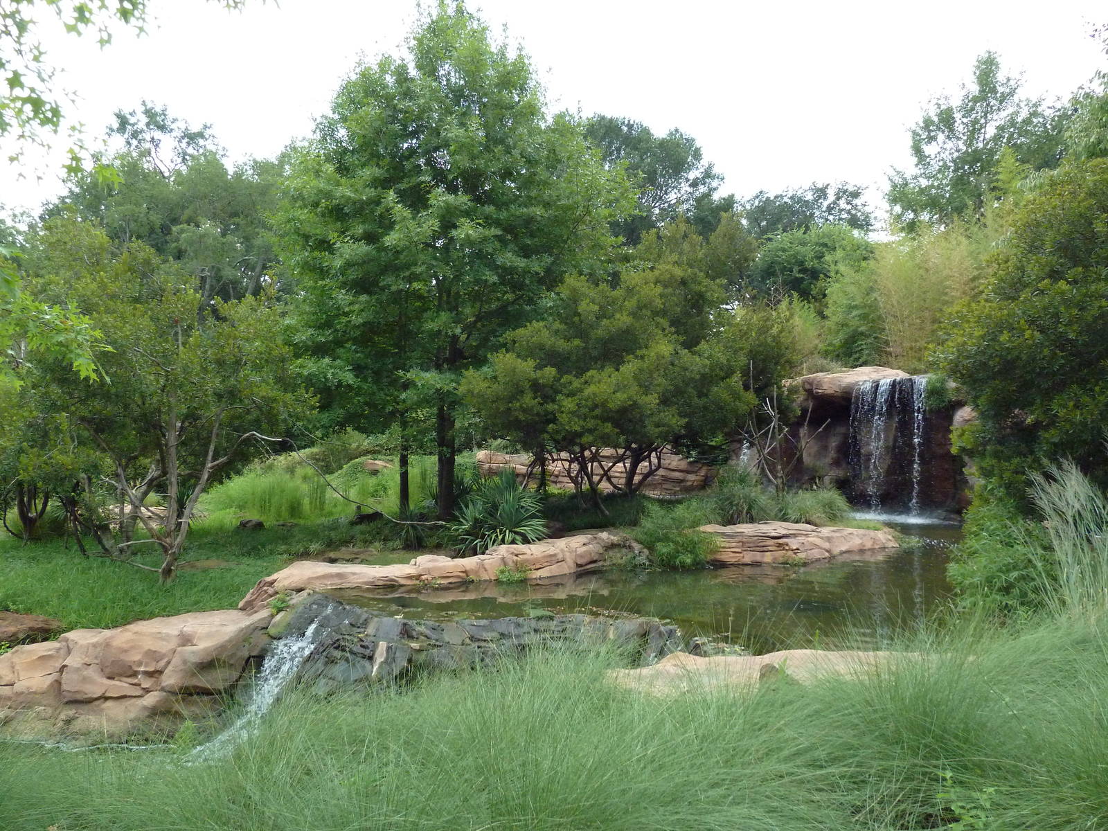 Ring-Tailed/Red Ruffed Lemur Exhibit