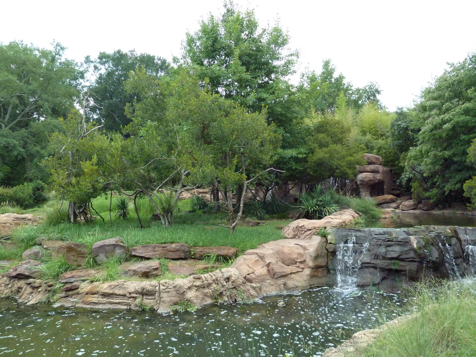 Ring-Tailed/Red Ruffed Lemur Exhibit