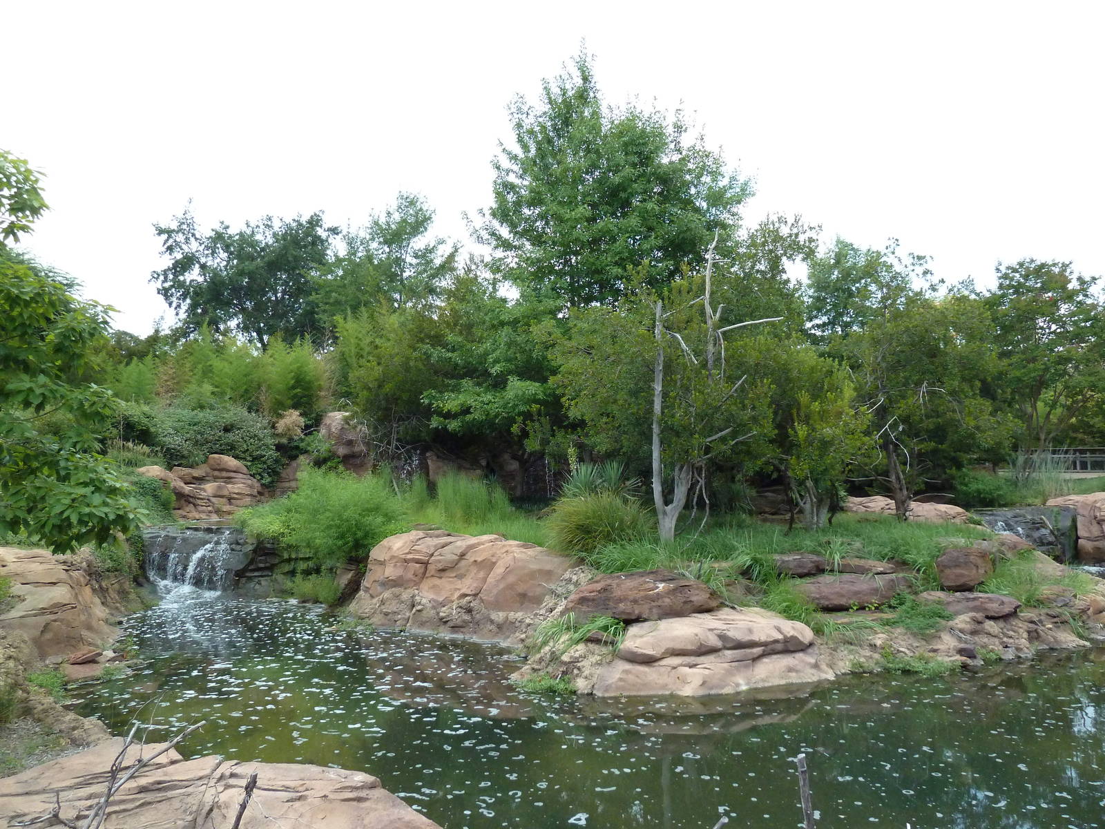 Ring-Tailed/Red Ruffed Lemur Exhibit