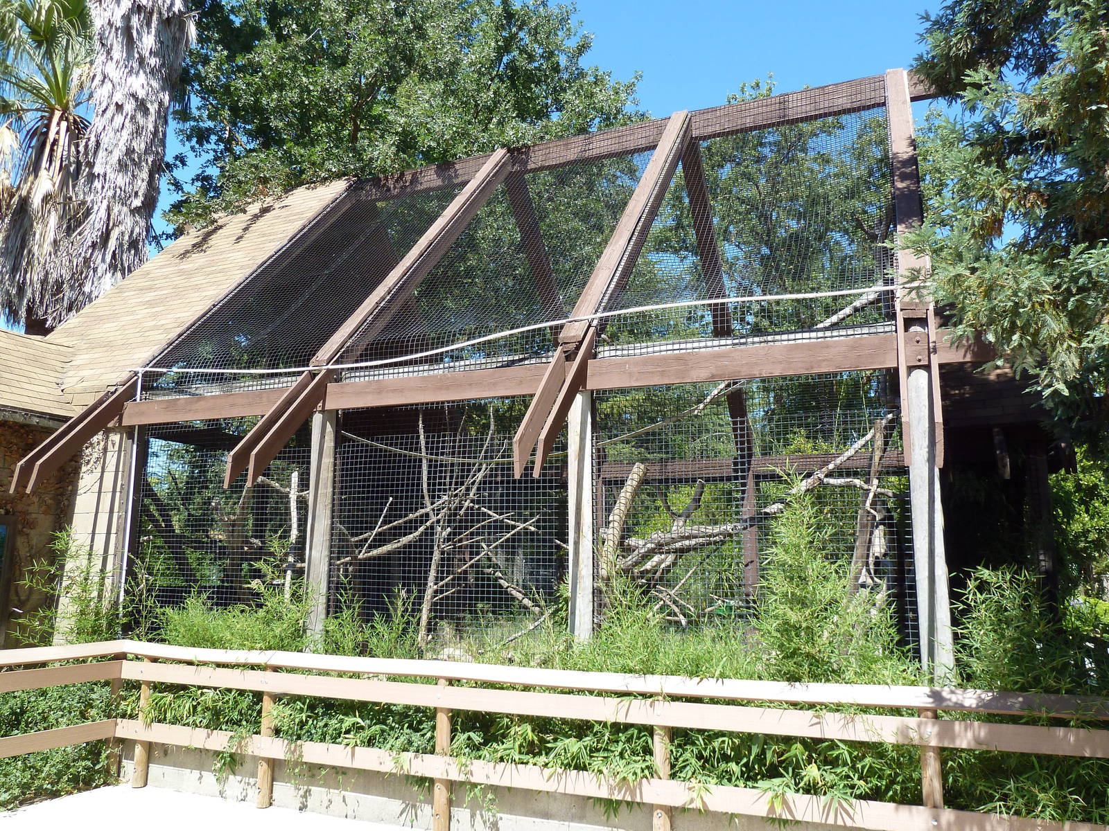 Ring-Tailed/Red Ruffed Lemur Exhibit