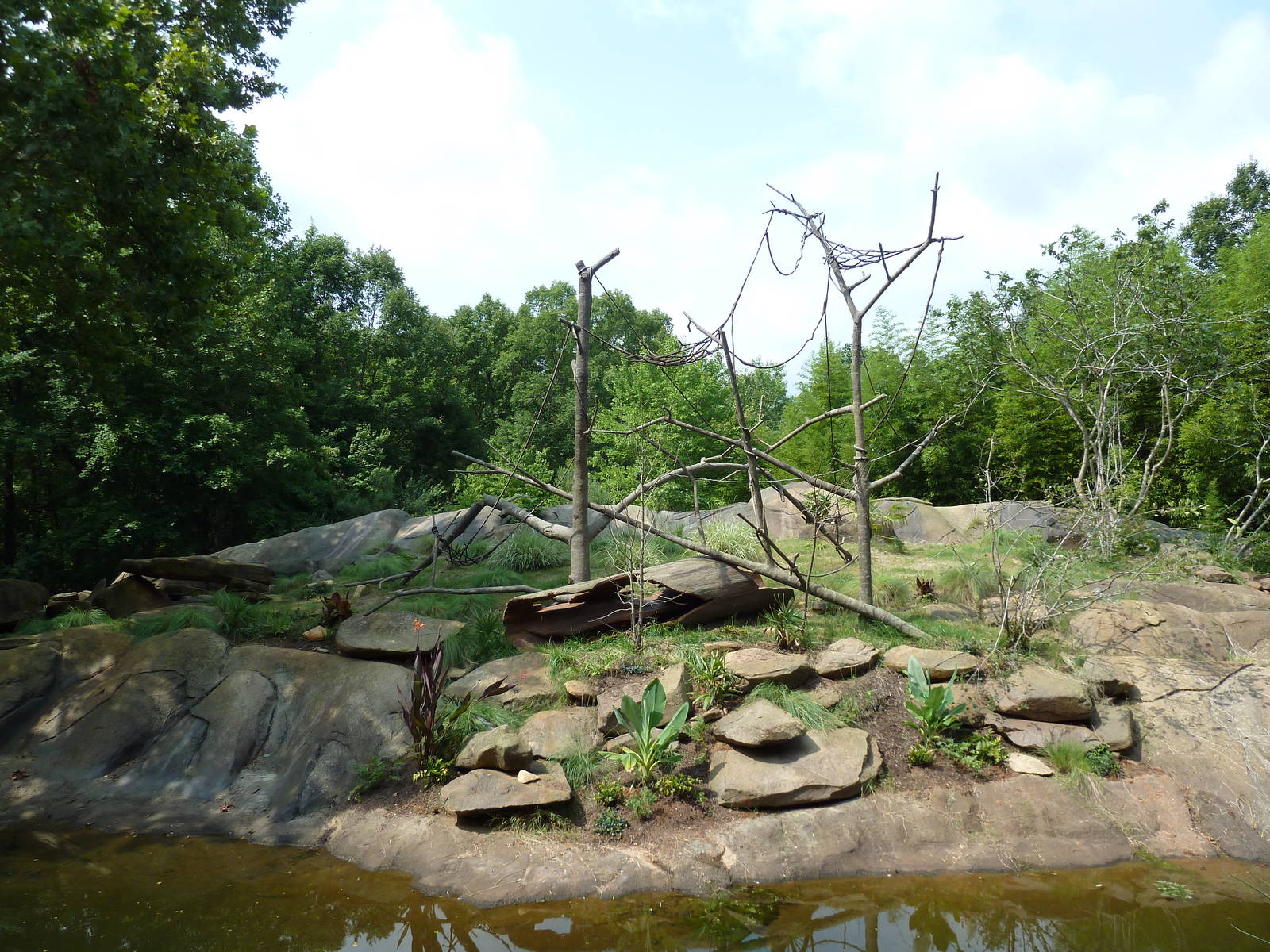 Ring-Tailed/Red Ruffed Lemur Island