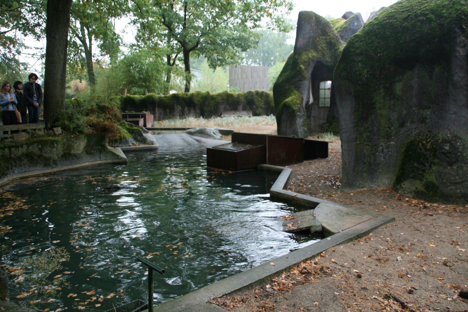 Ringed seal enclosure
