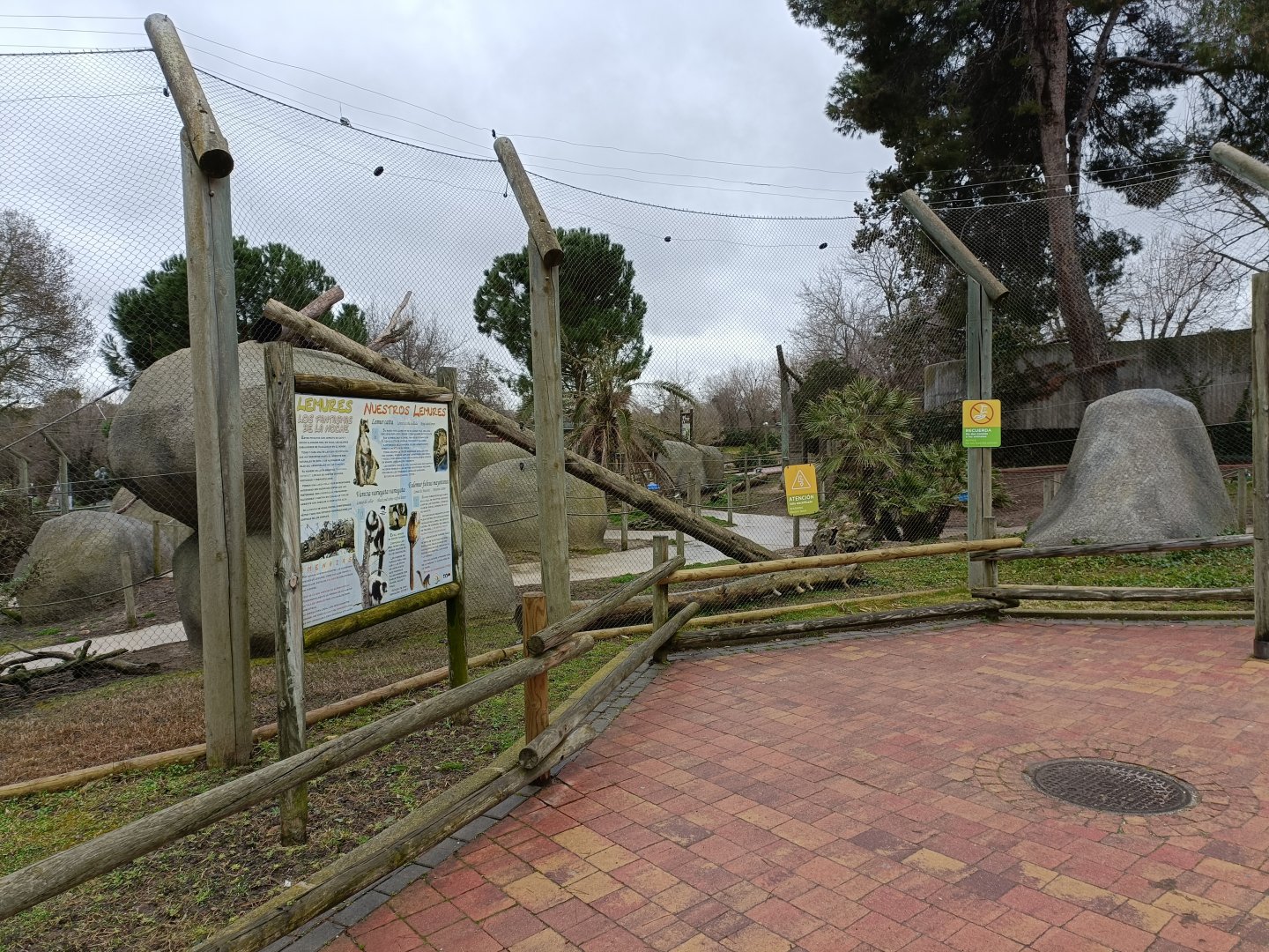 Ringed tailed lemur and brown lemur exhibit