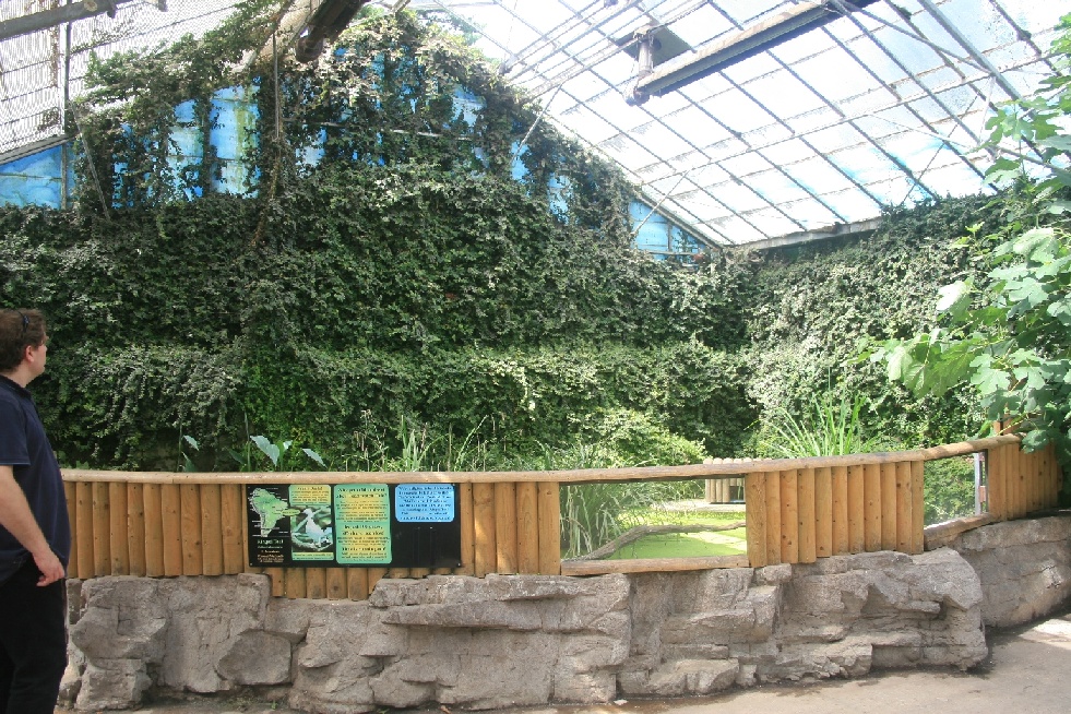 Ringed Teal enclosure