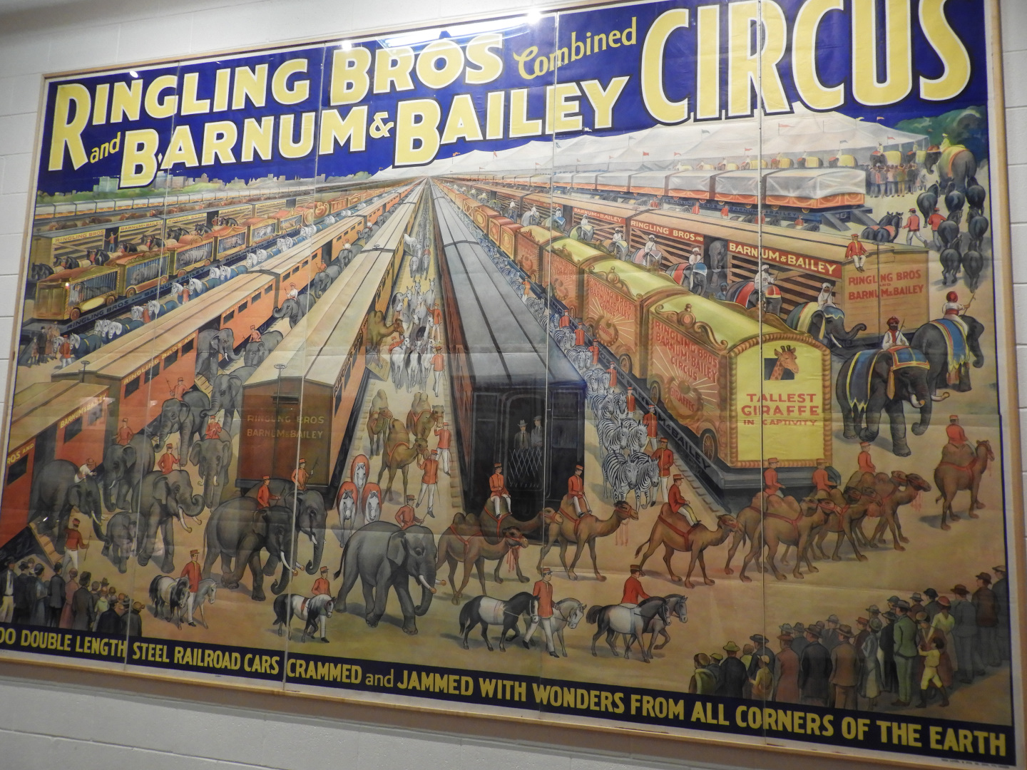 Ringling Bros. and Barnum and Bailey Combined Shows Menagerie Poster - Circus World Museum