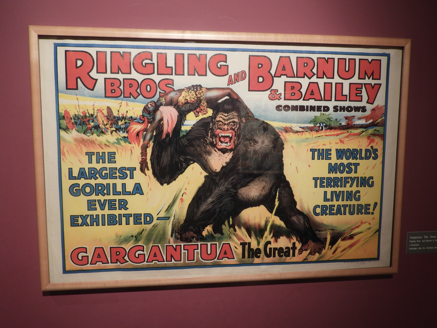 Ringling Bros. & Barnum and Bailey Combined Shows Mountain Gorilla Circus Poster - Circus World Museum