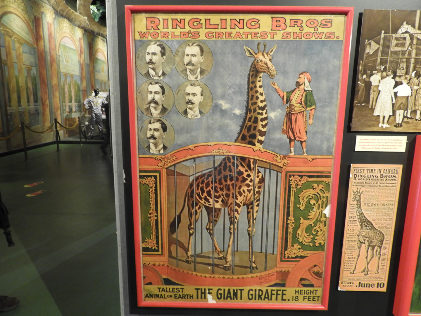 Ringling Bros. Circus Giraffe Poster - Circus World Museum