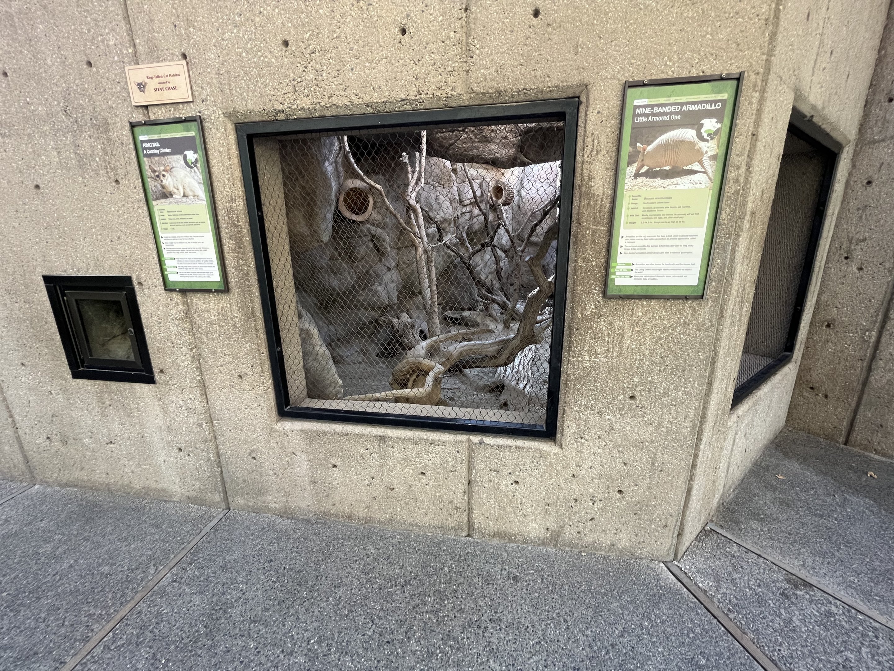 Ringtail/Armadillo Exhibit