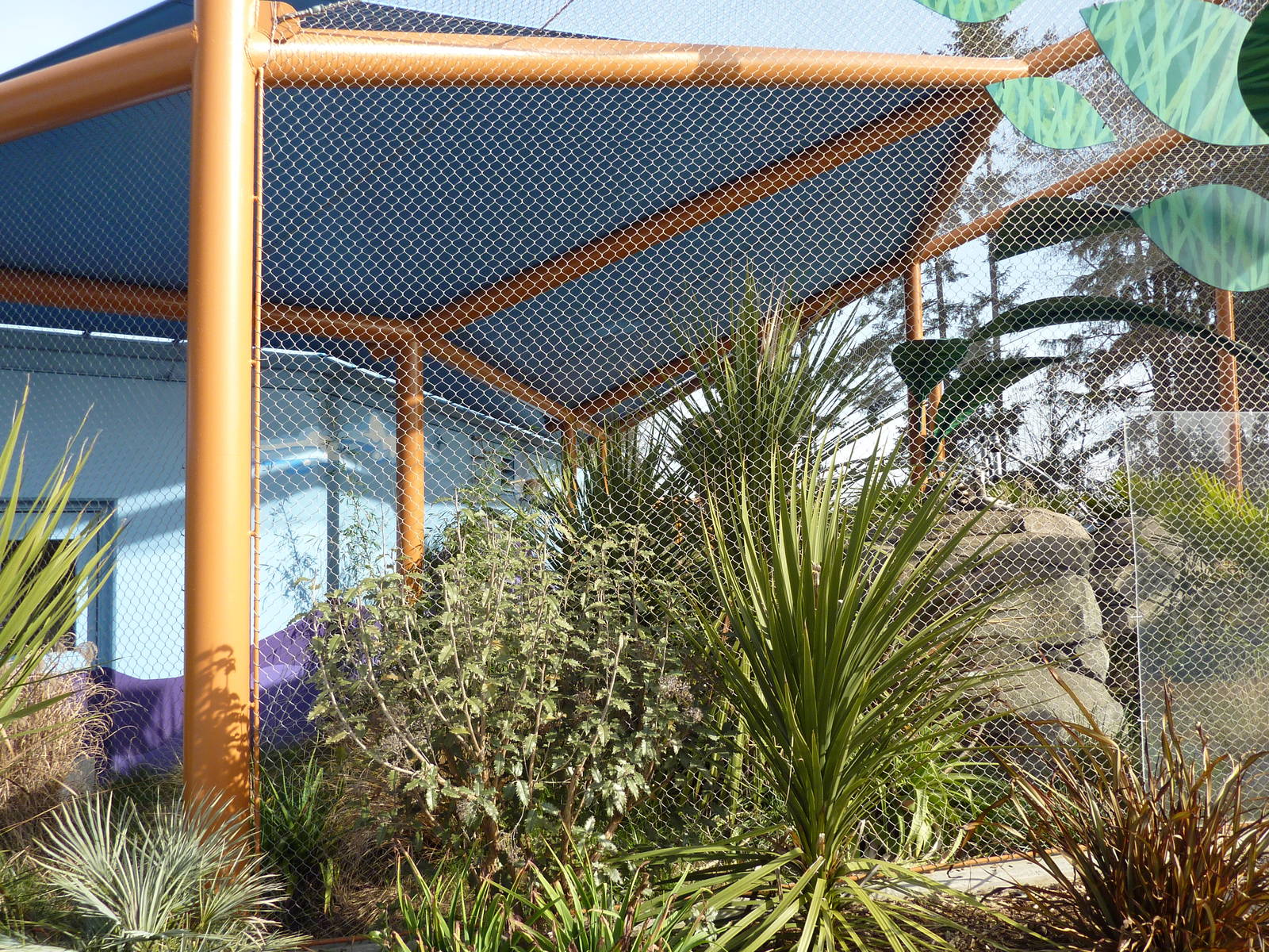 Ringtail + Black Lemur Exhibit