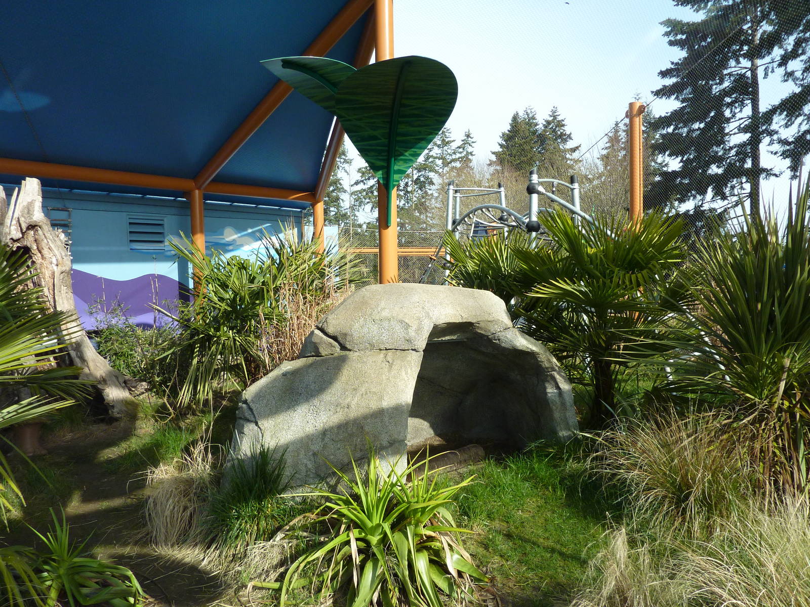 Ringtail + Black Lemur Exhibit