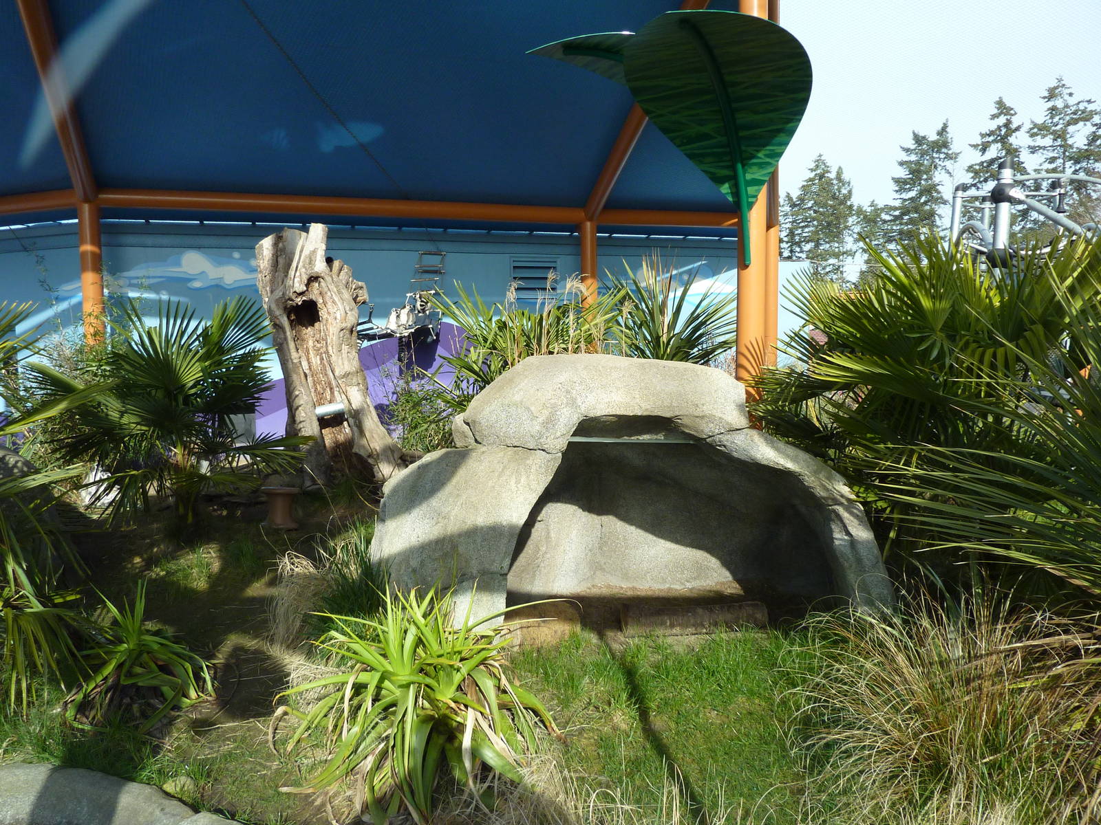 Ringtail + Black Lemur Exhibit