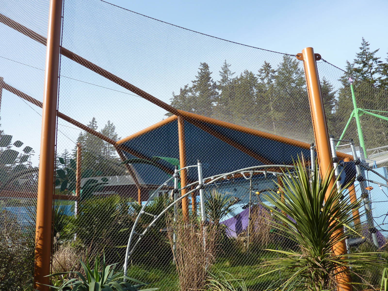 Ringtail + Black Lemur Exhibit