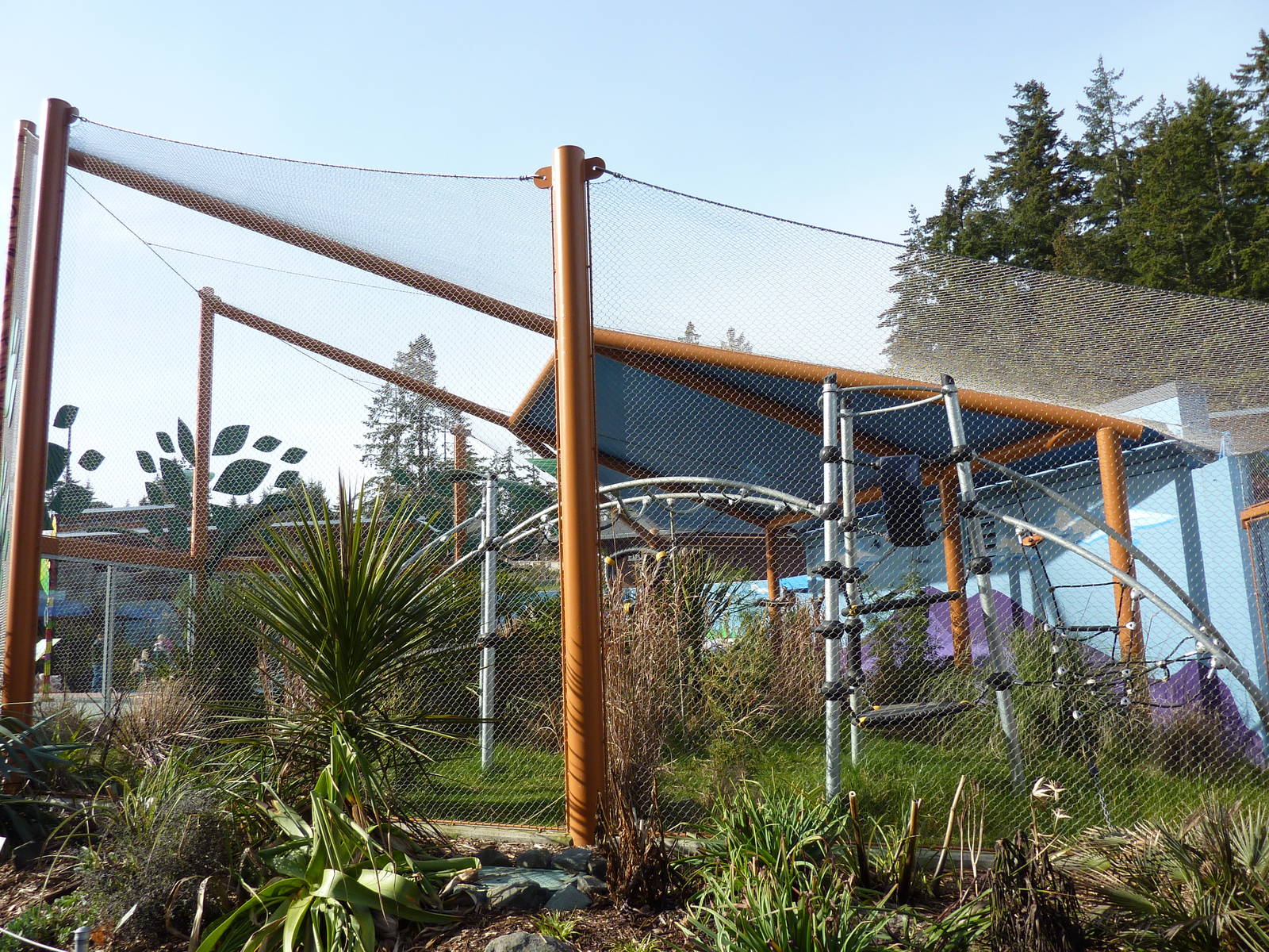 Ringtail + Black Lemur Exhibit