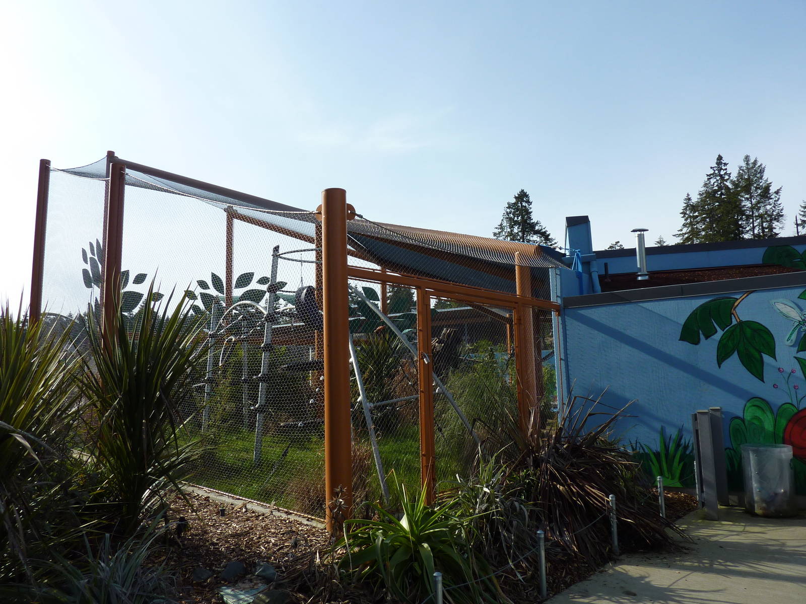 Ringtail + Black Lemur Exhibit