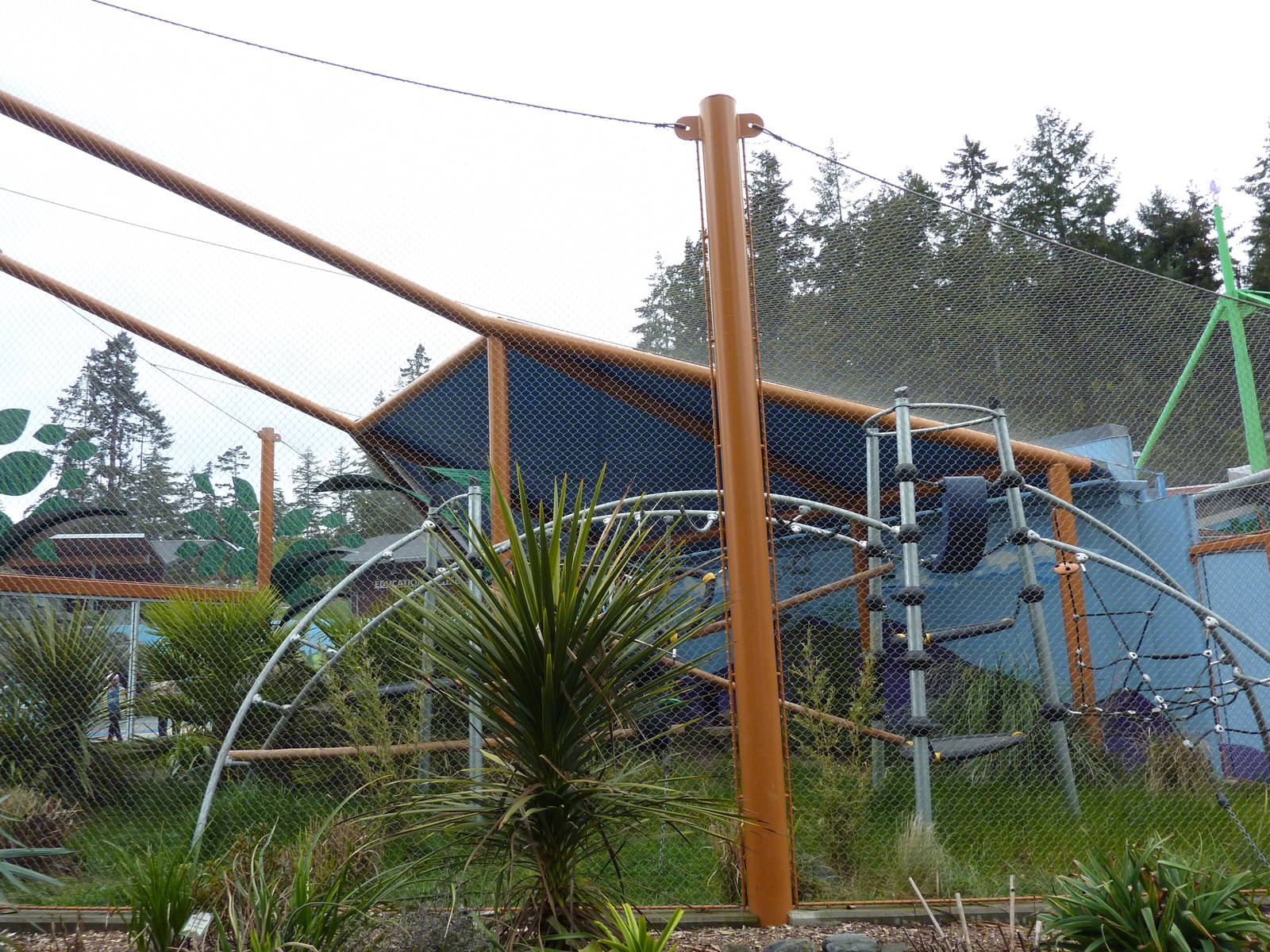 Ringtail/Black Lemur Exhibit