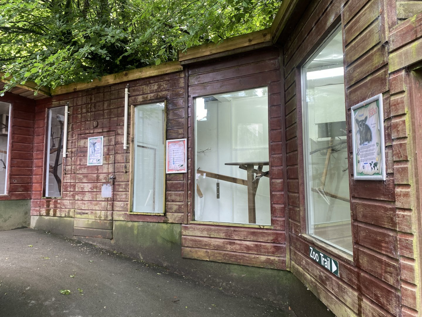 Ringtail enclosure 050625