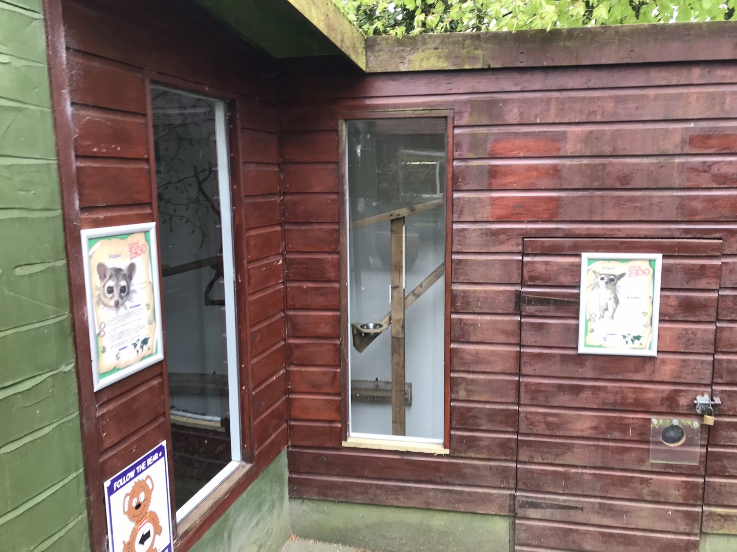 Ringtail enclosure section 280419