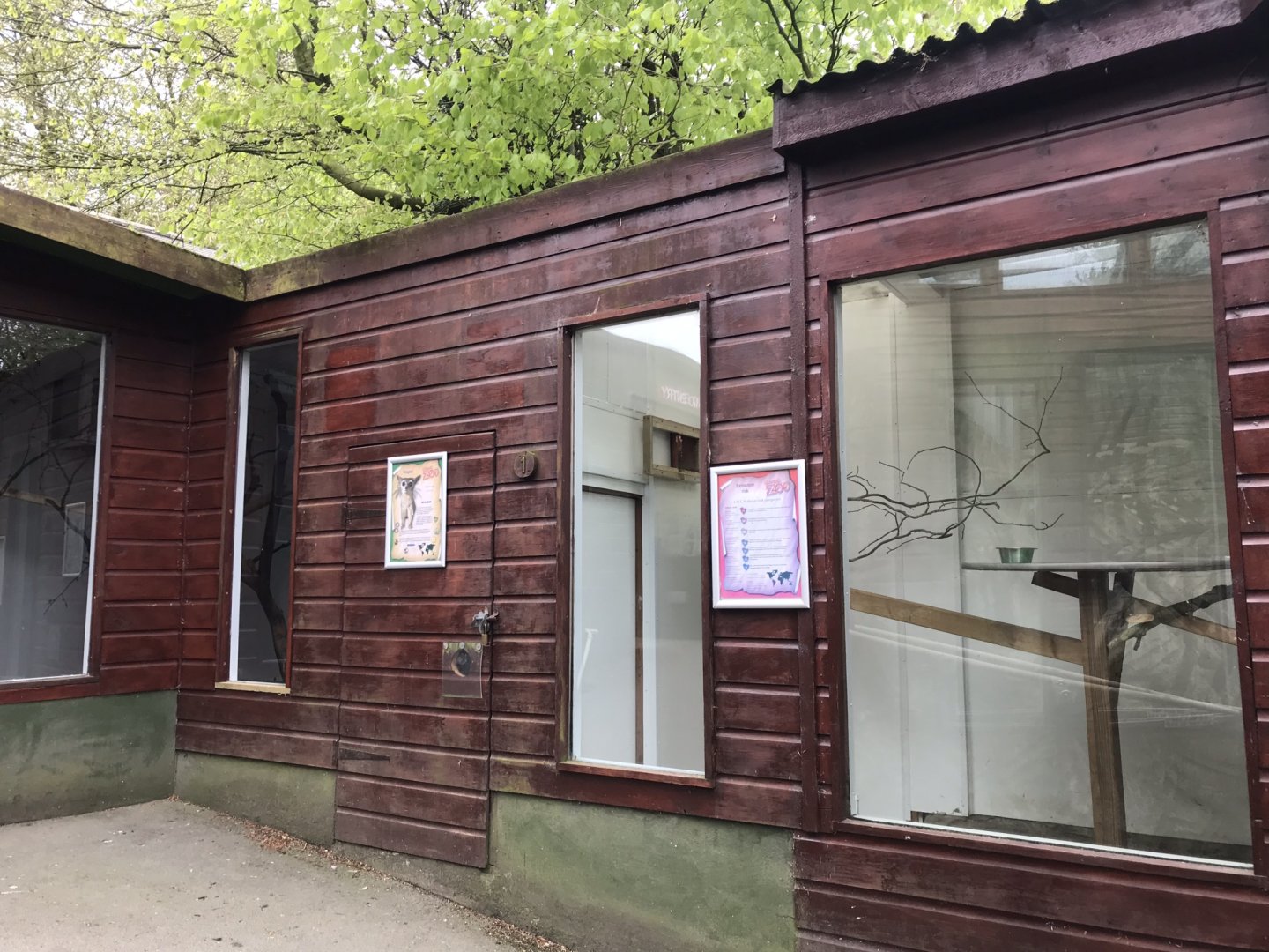 Ringtail enclosure section 280419