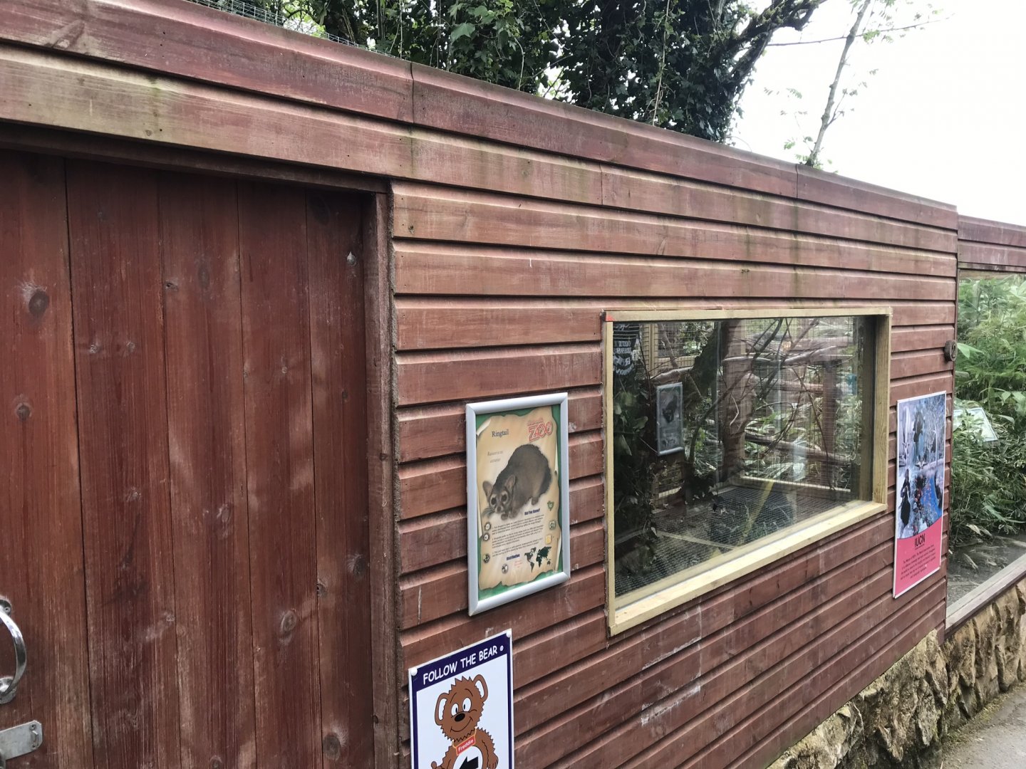 Ringtail enclosure section 280419