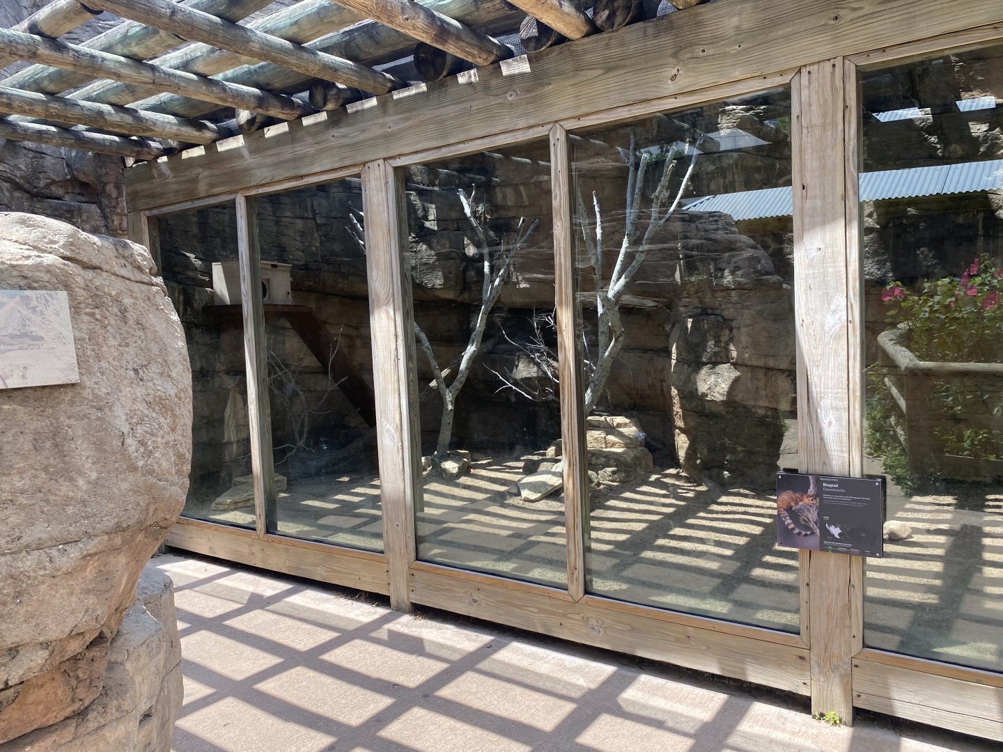 Ringtail Enclosure