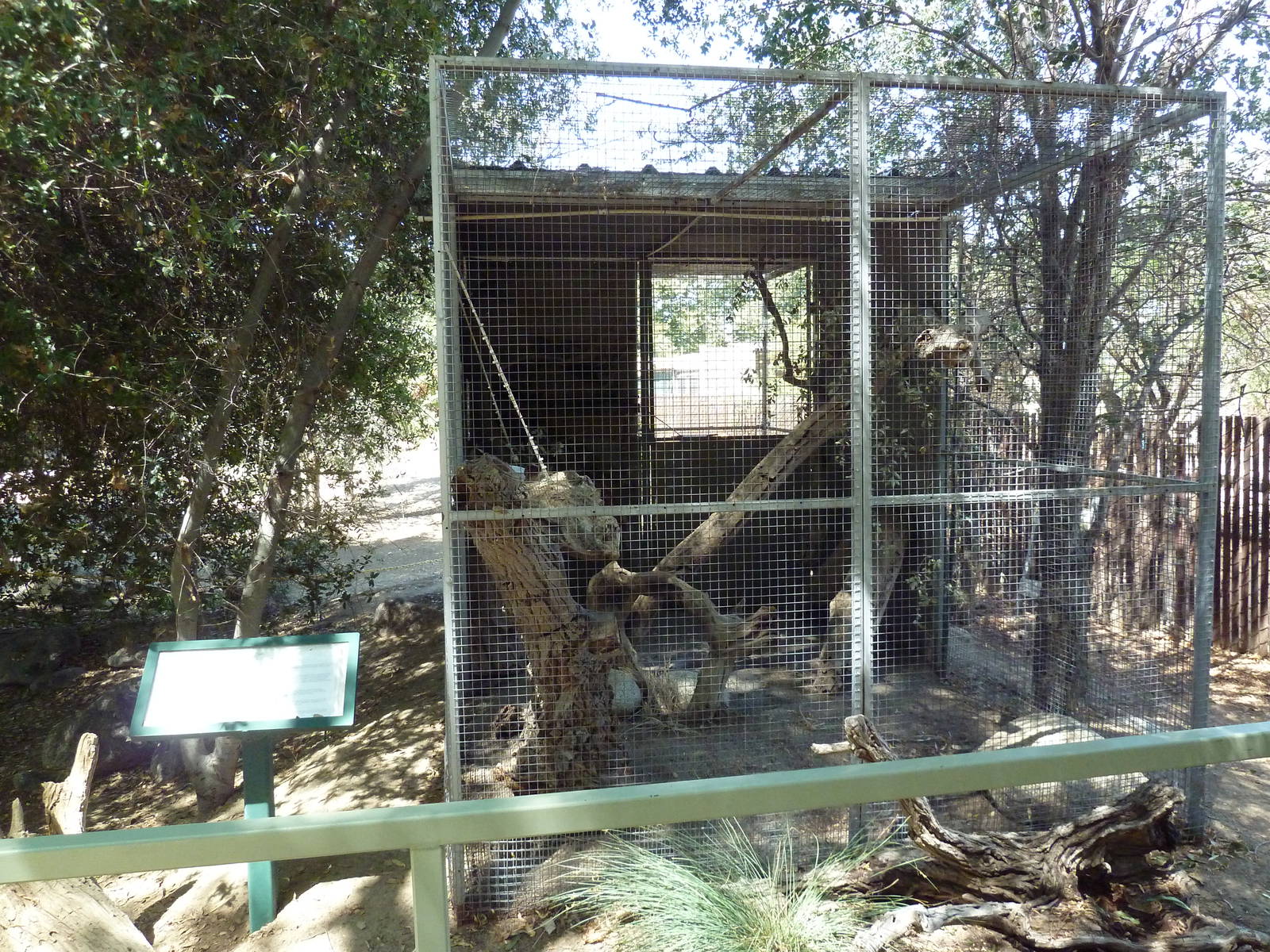 Ringtail Exhibit