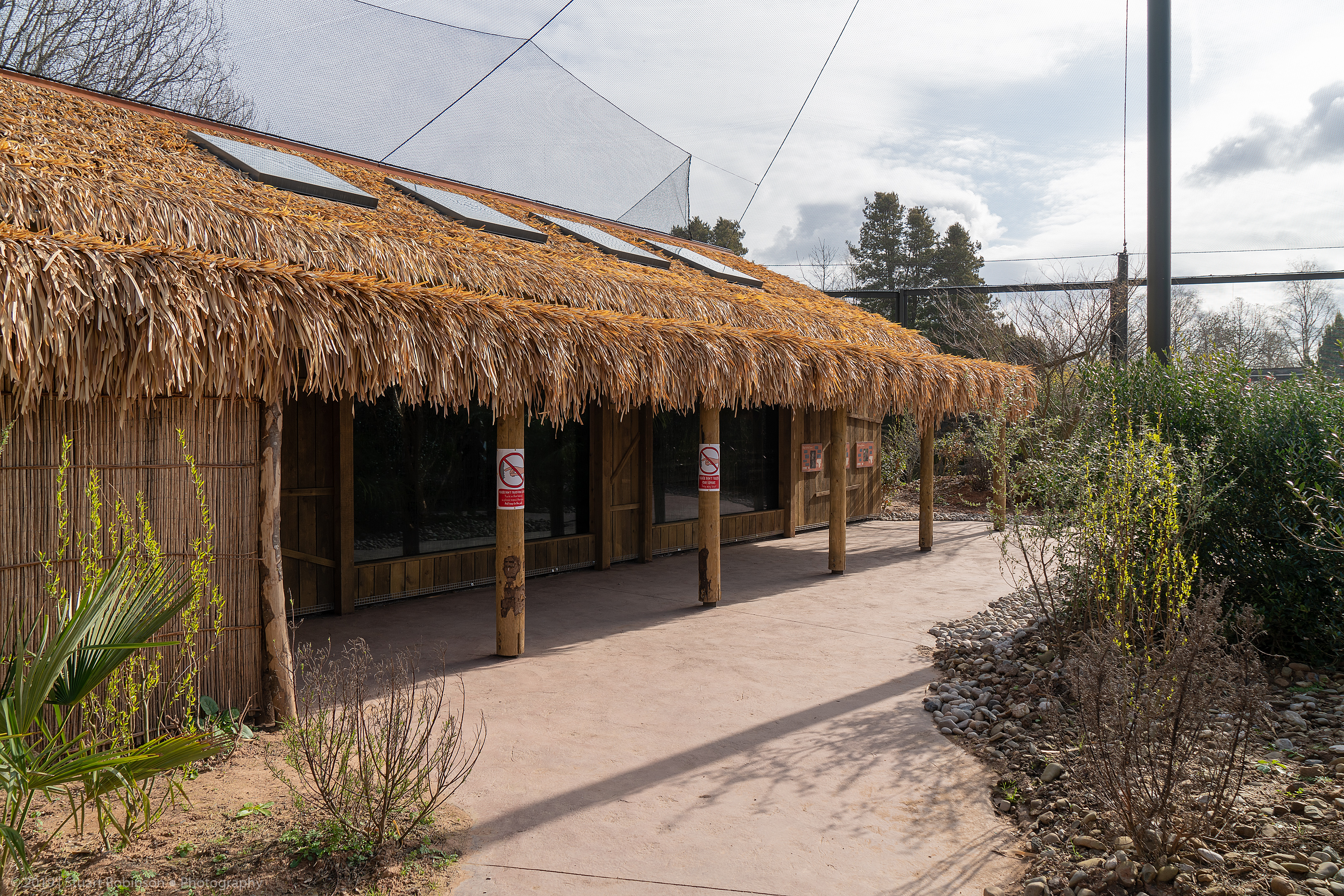 Ringtail House - Madagascar Exhibit - 26/03/2019