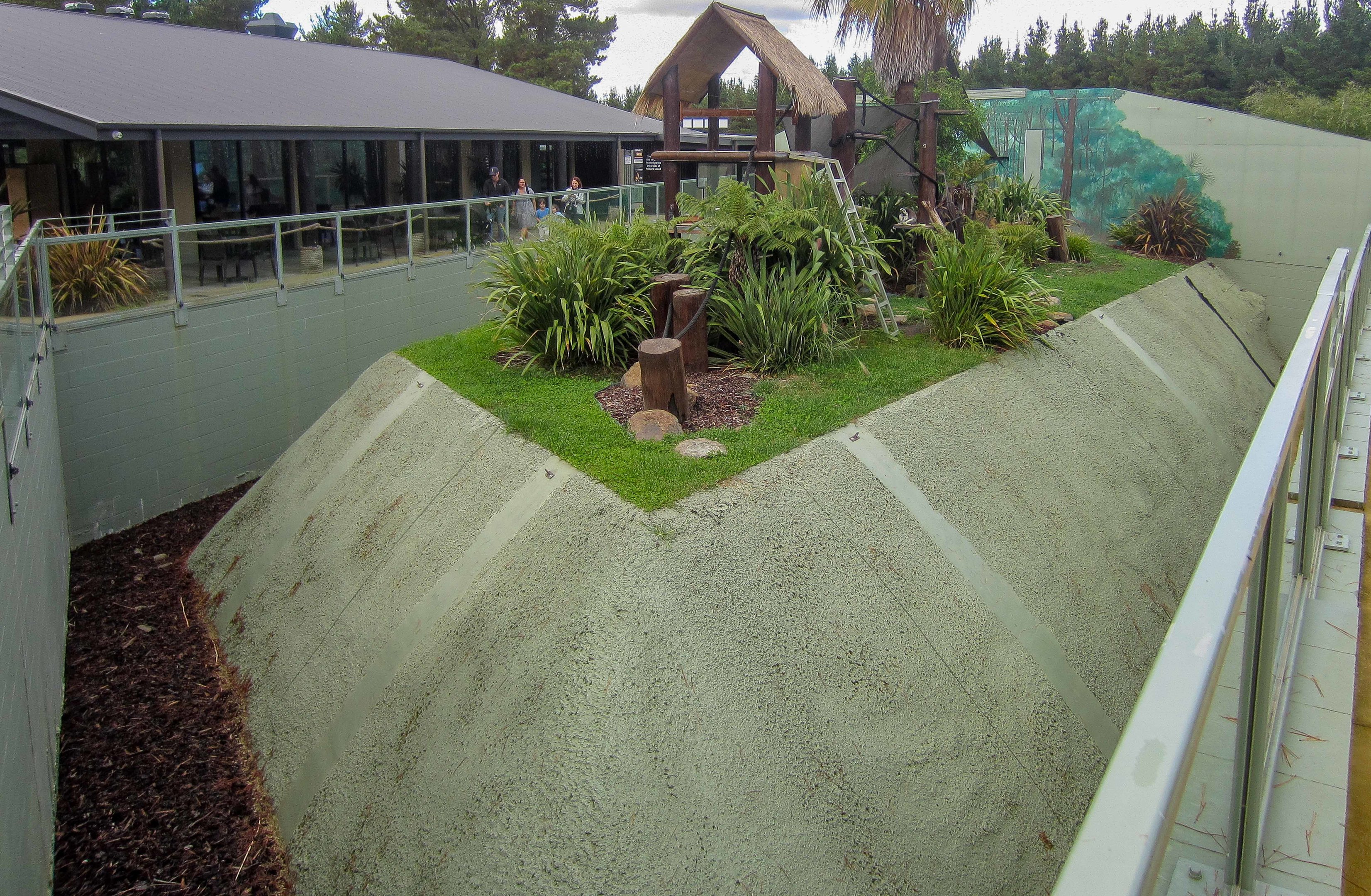 Ringtail Lemur exhibit