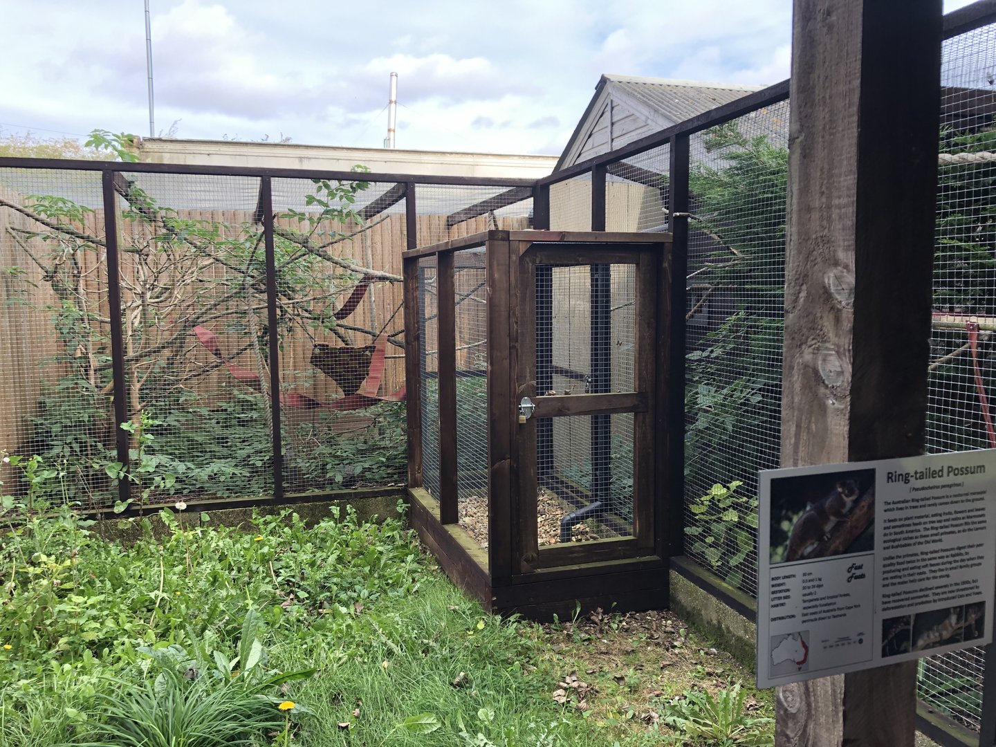 Ringtail Possum Enclosure at Hamerton Zoo Park (October 2023)