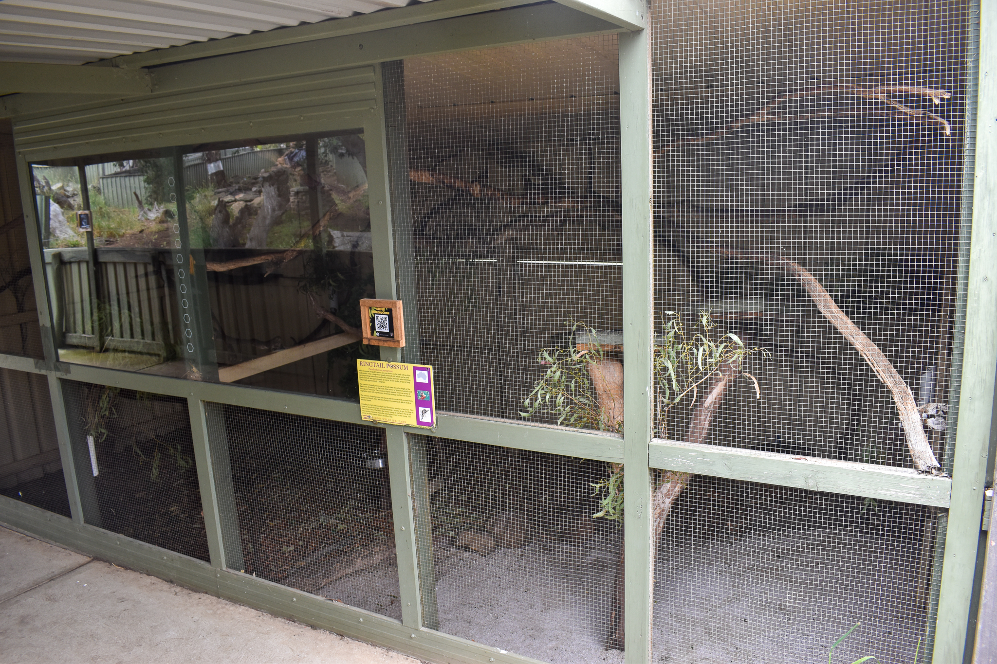 Ringtail Possum enclosure