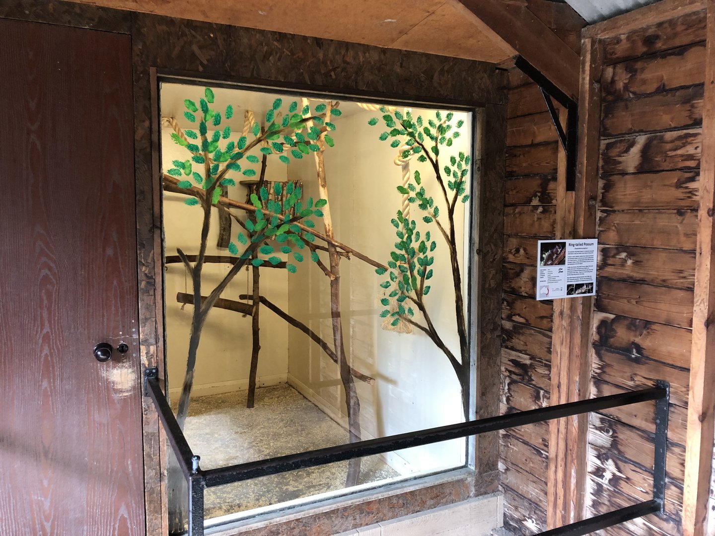 Ringtail Possum Indoor Enclosure at Hamerton Zoo Park (October 2023)