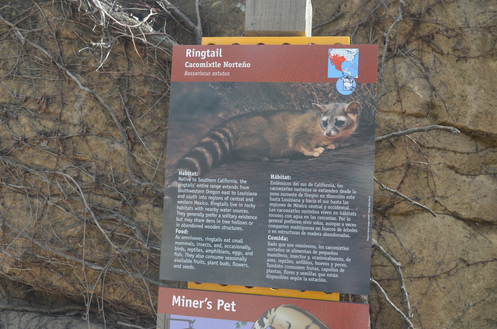 Ringtail Signage