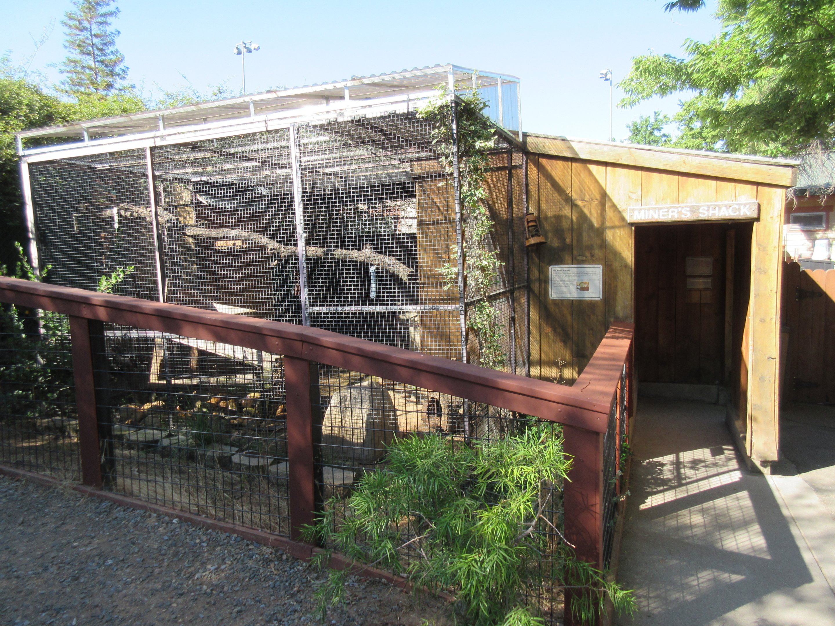 Ringtail/Striped Skunk Exhibit (Miner's Cabin Theme)