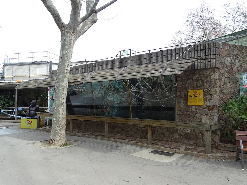 Ringtailed lemur enclosure