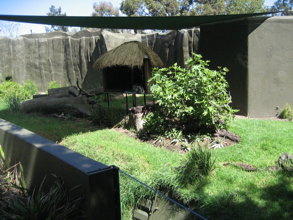 Ringtailed Lemur enclosure