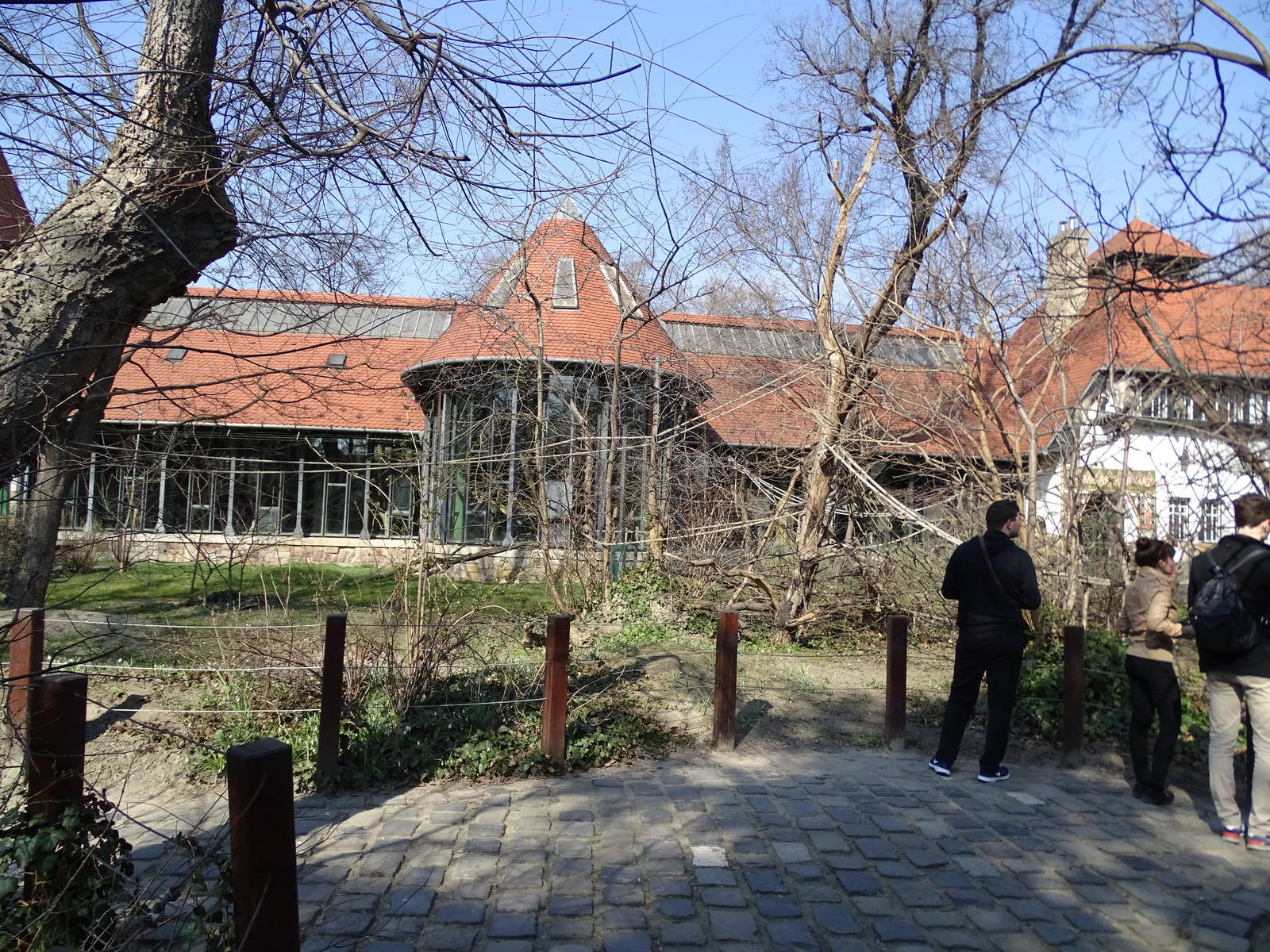 Ringtailed lemur walkthrough enclosure