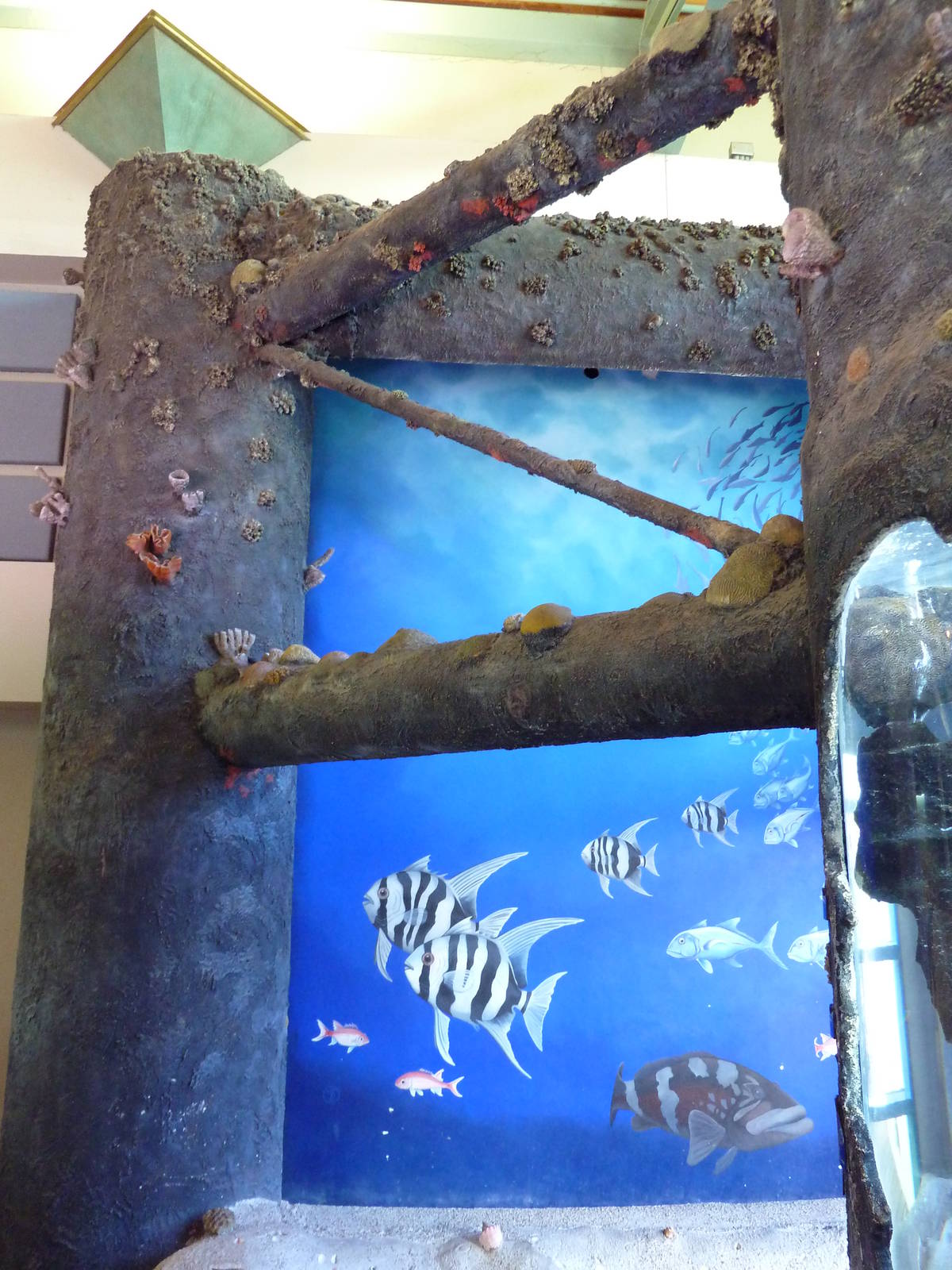 Rio Grande Pier Exhibit