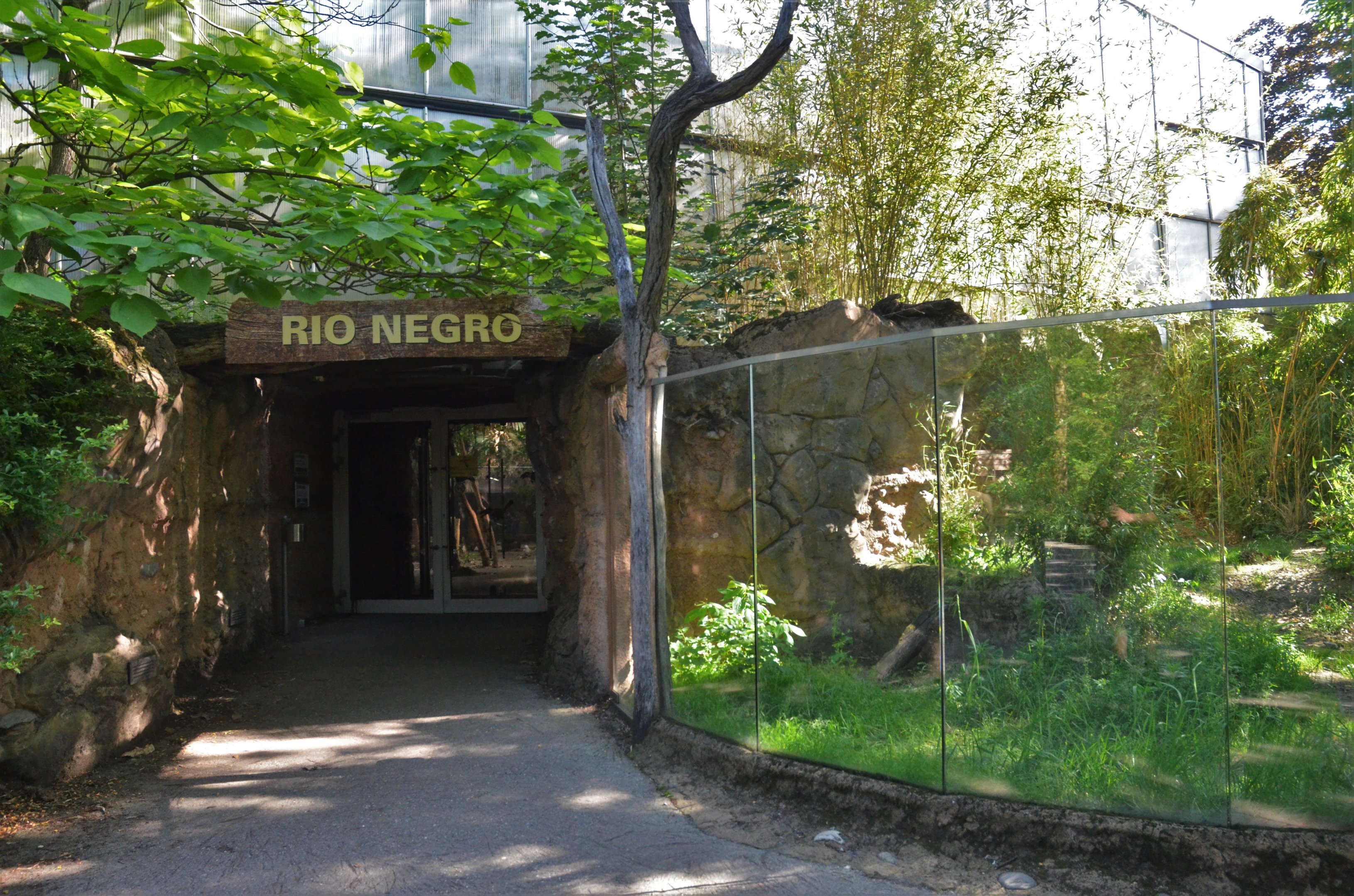 Rio Negro at Duisburg, 17/06/19