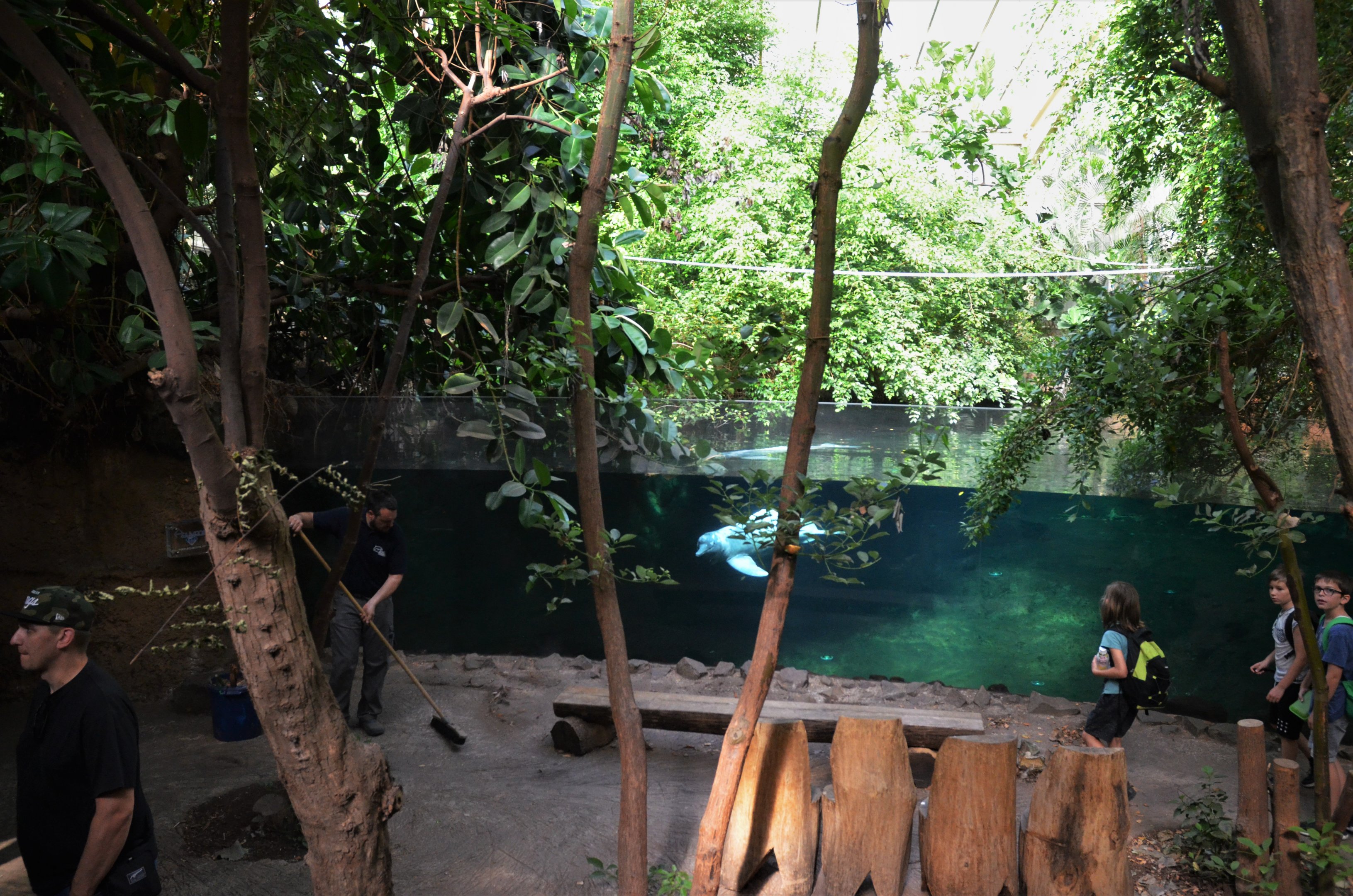 Rio Negro at Duisburg, 17/06/19