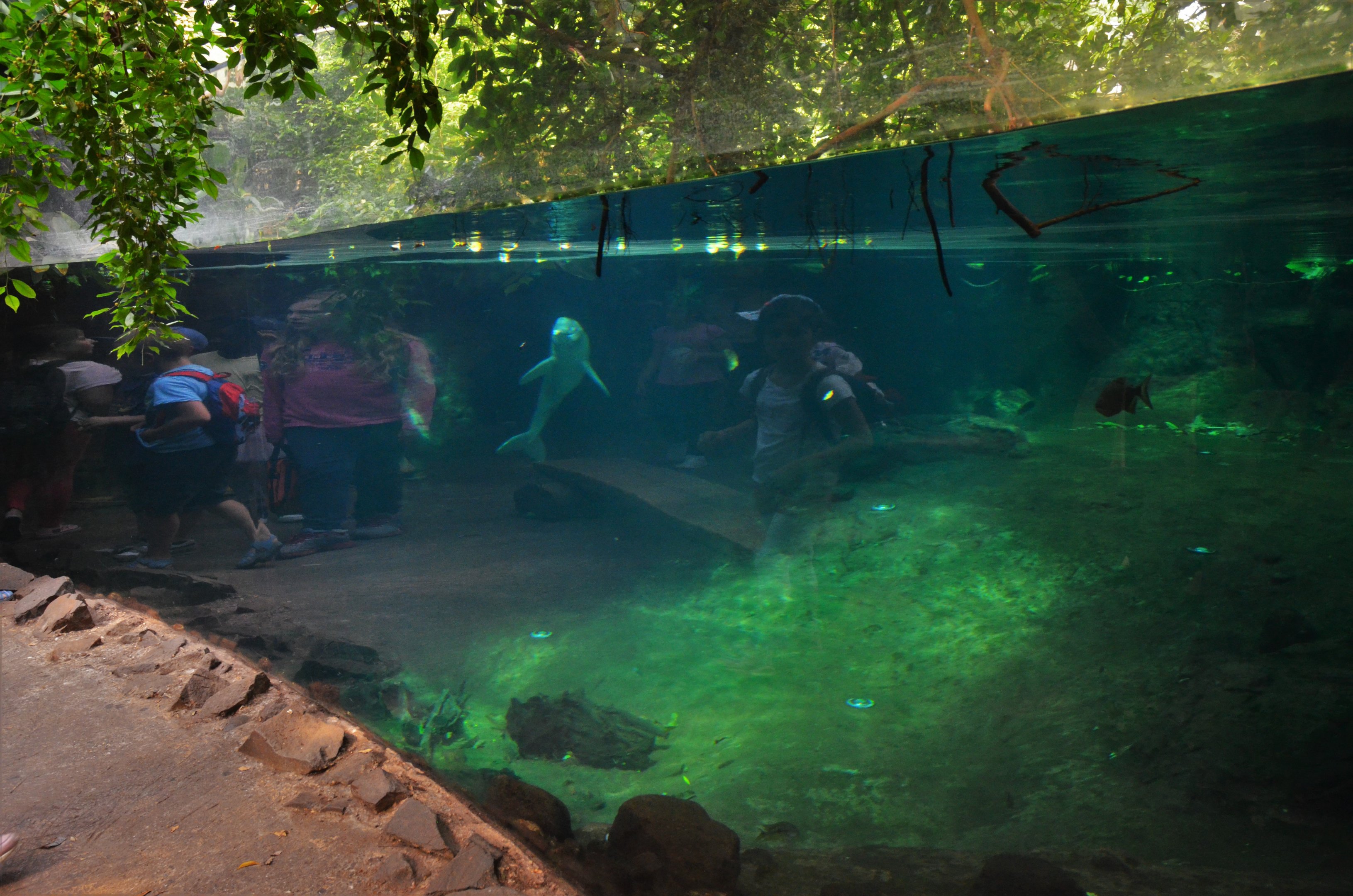 Rio Negro at Duisburg, 17/06/19