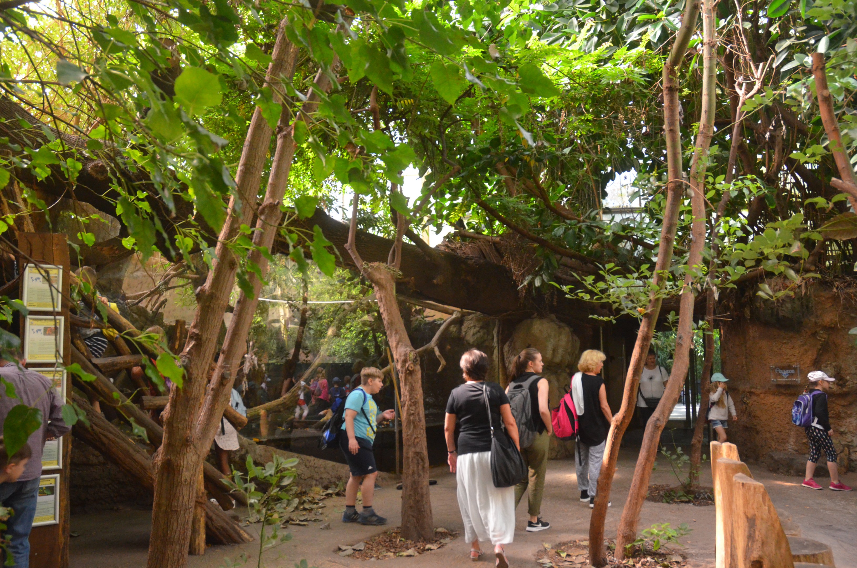 Rio Negro at Duisburg, 17/06/19